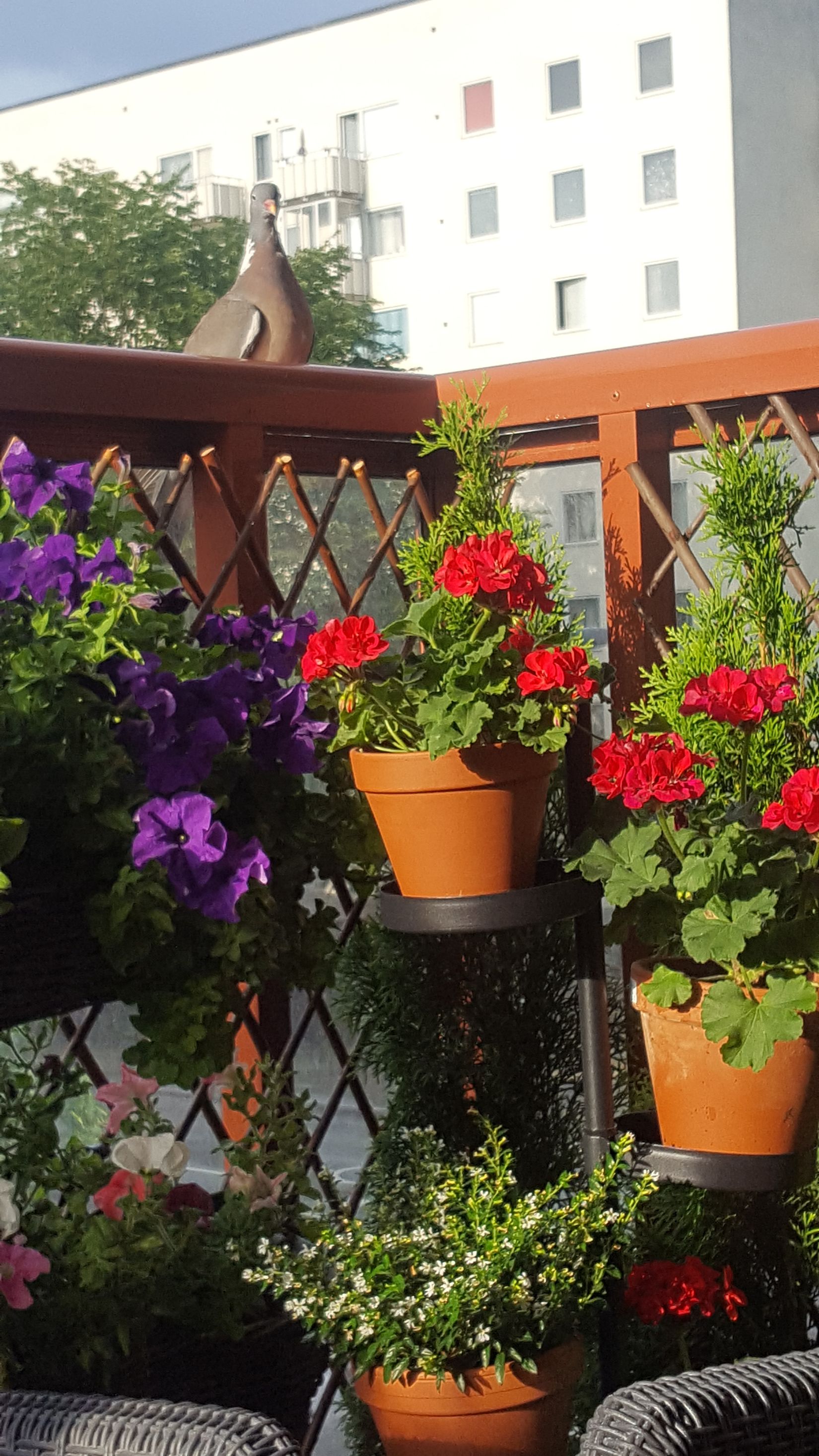 Bostadsrätt, Fyrspannsgatan 172, Hässelby Strand, Stockholm