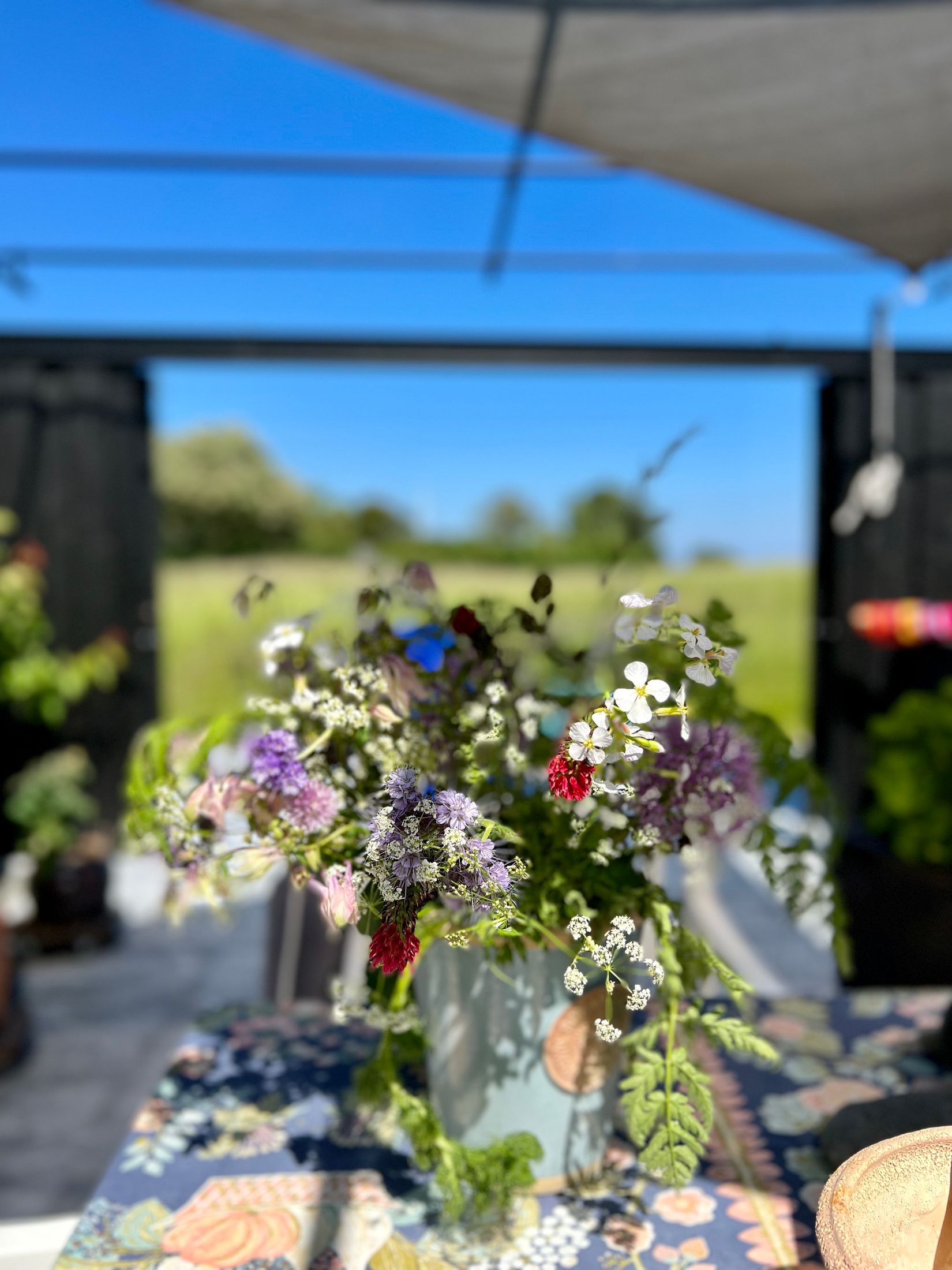 Villa, Tångvägen 60, Örnahusen, Simrishamn