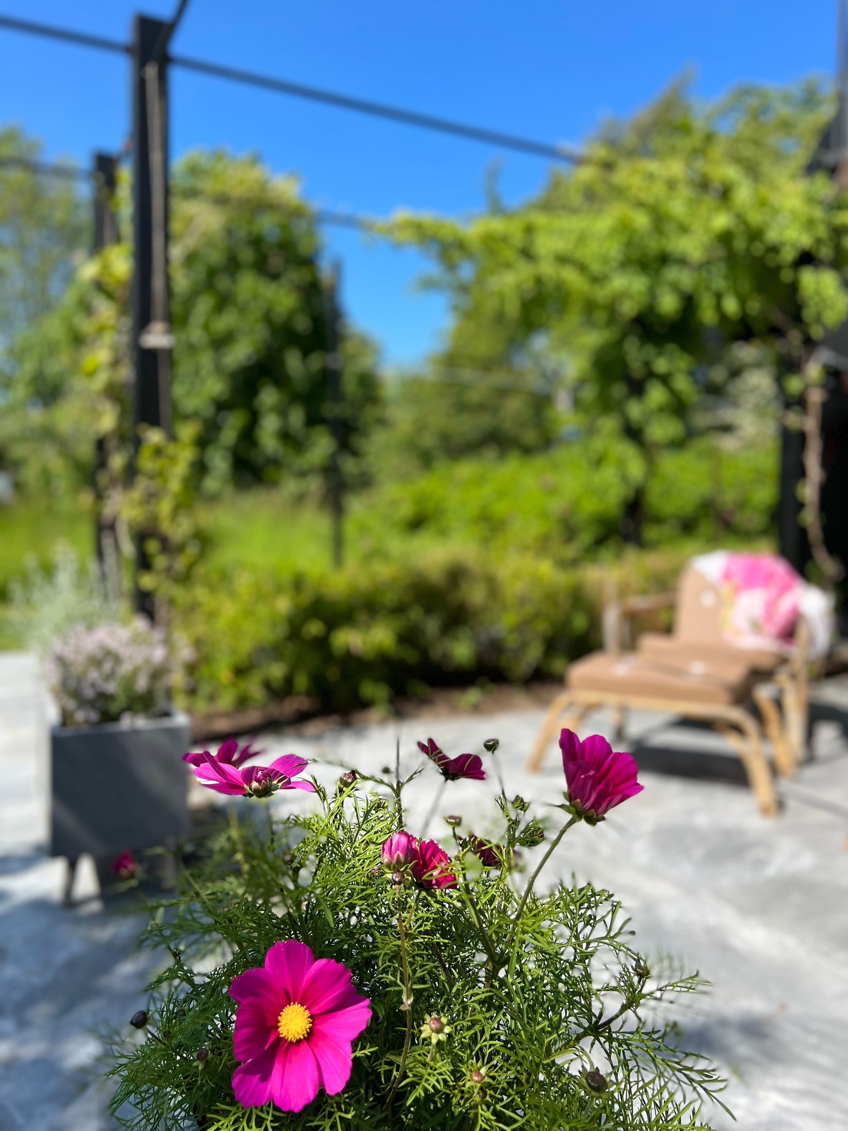 Villa, Tångvägen 60, Örnahusen, Simrishamn