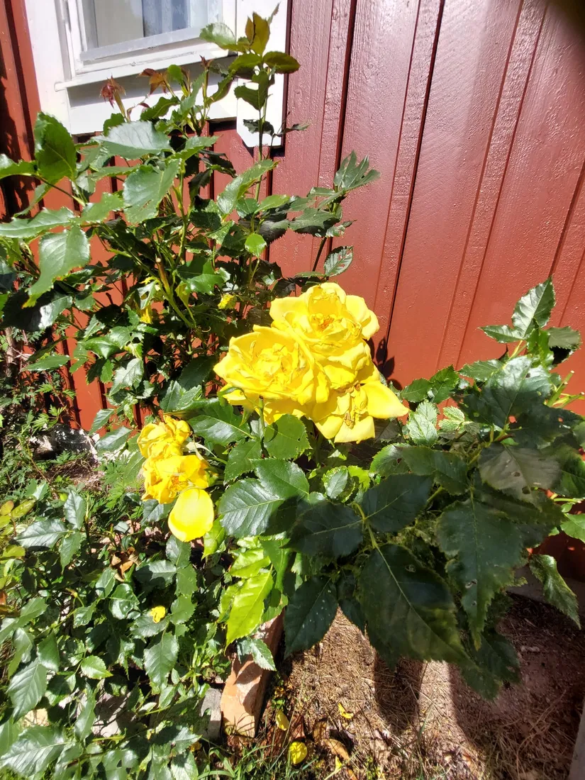 Villa, Oknövägen 13, Oknö, Mönsterås