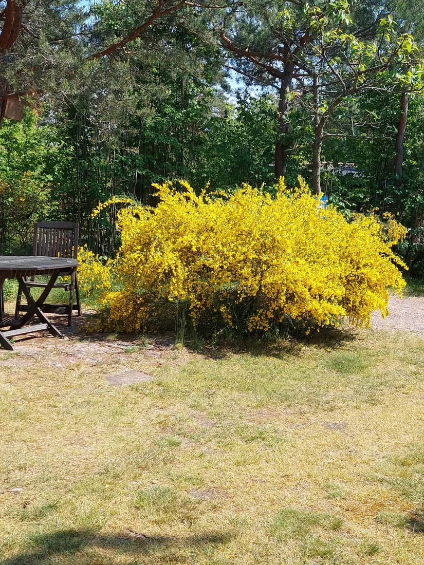 Villa, Oknövägen 13, Oknö, Mönsterås