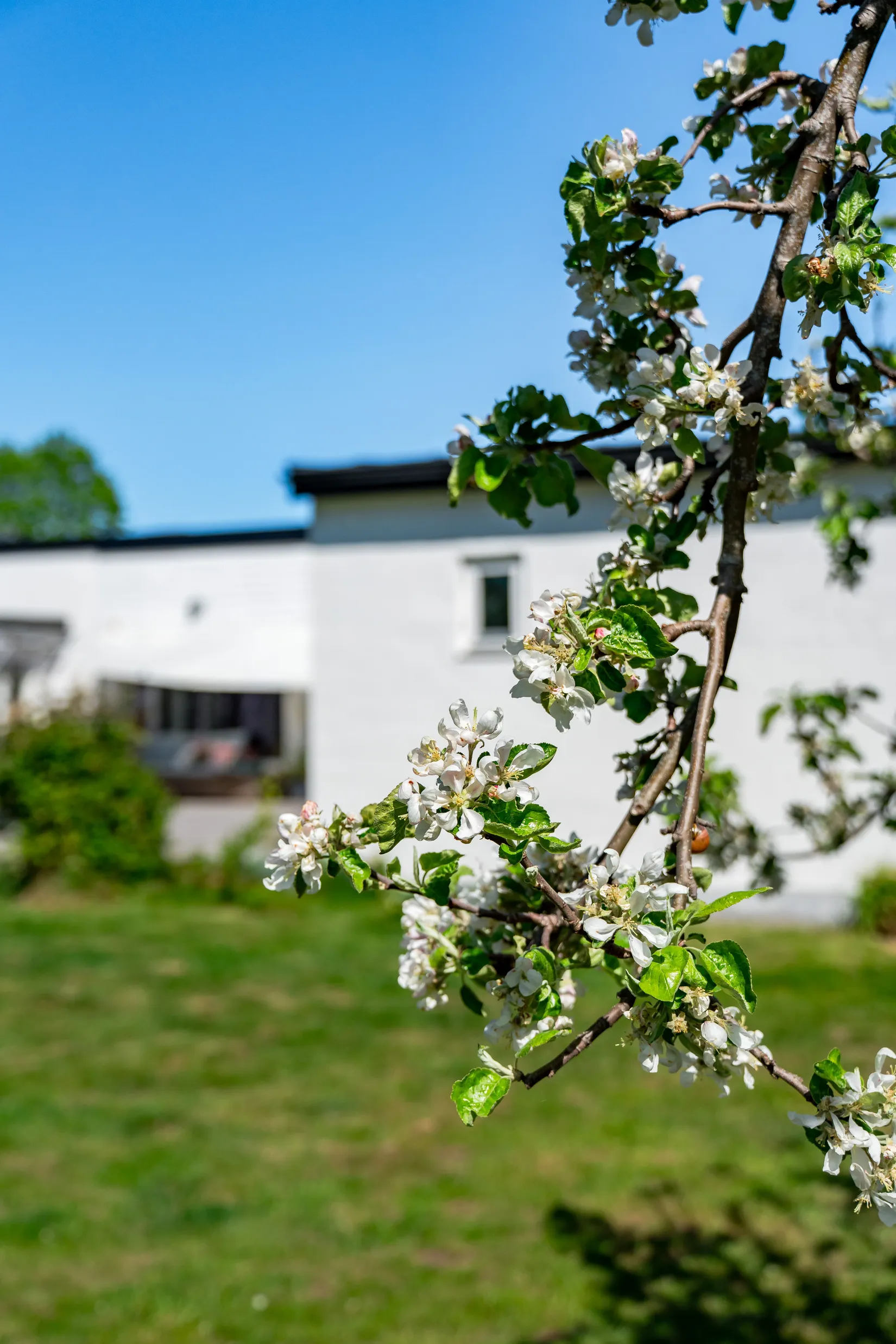 Villa, Slånvägen 3A, Vårdsätra, Uppsala
