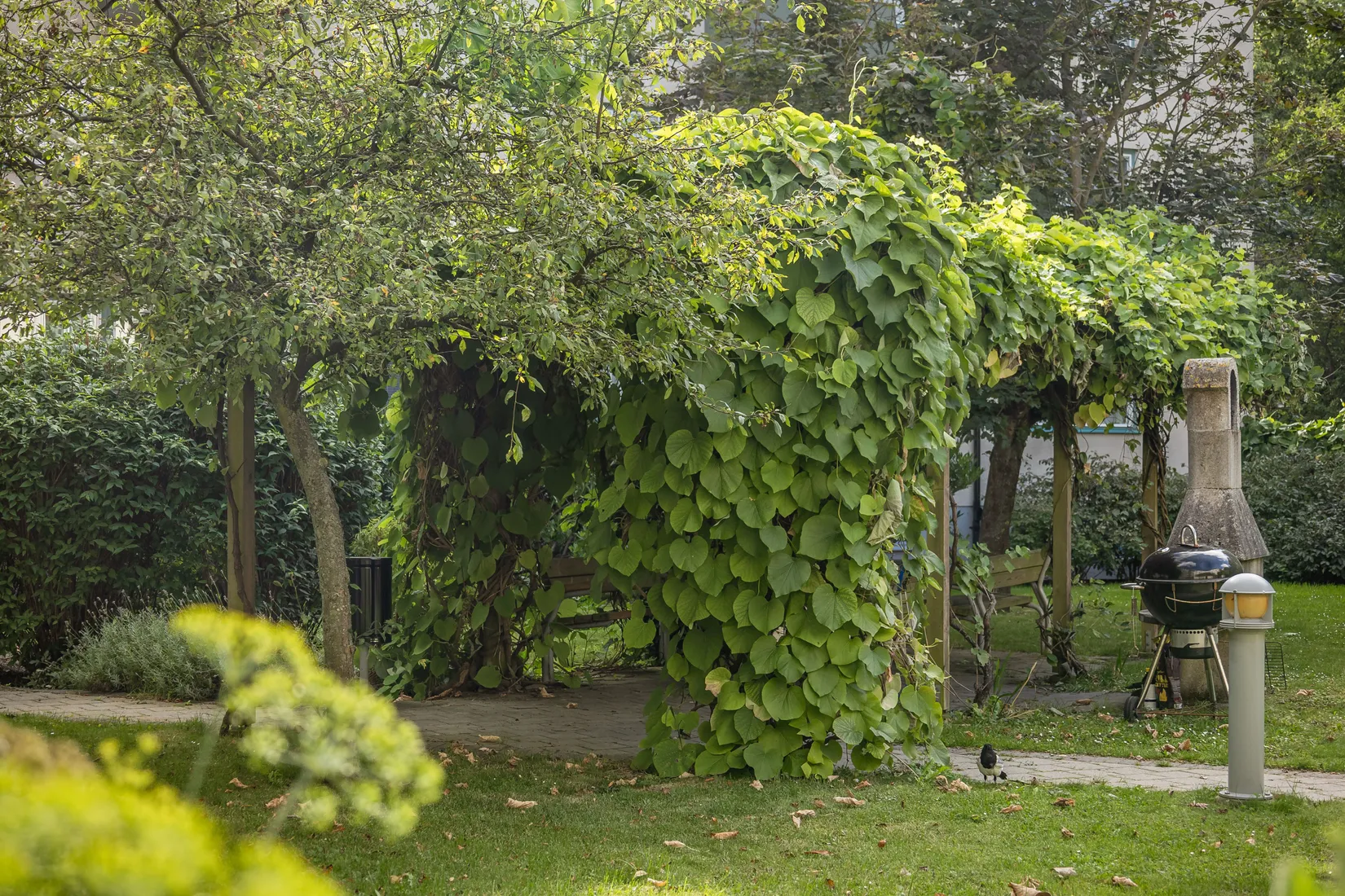 Bostadsrätt, Vitemöllegatan 7C, Nobeltorget/Annelund, Malmö