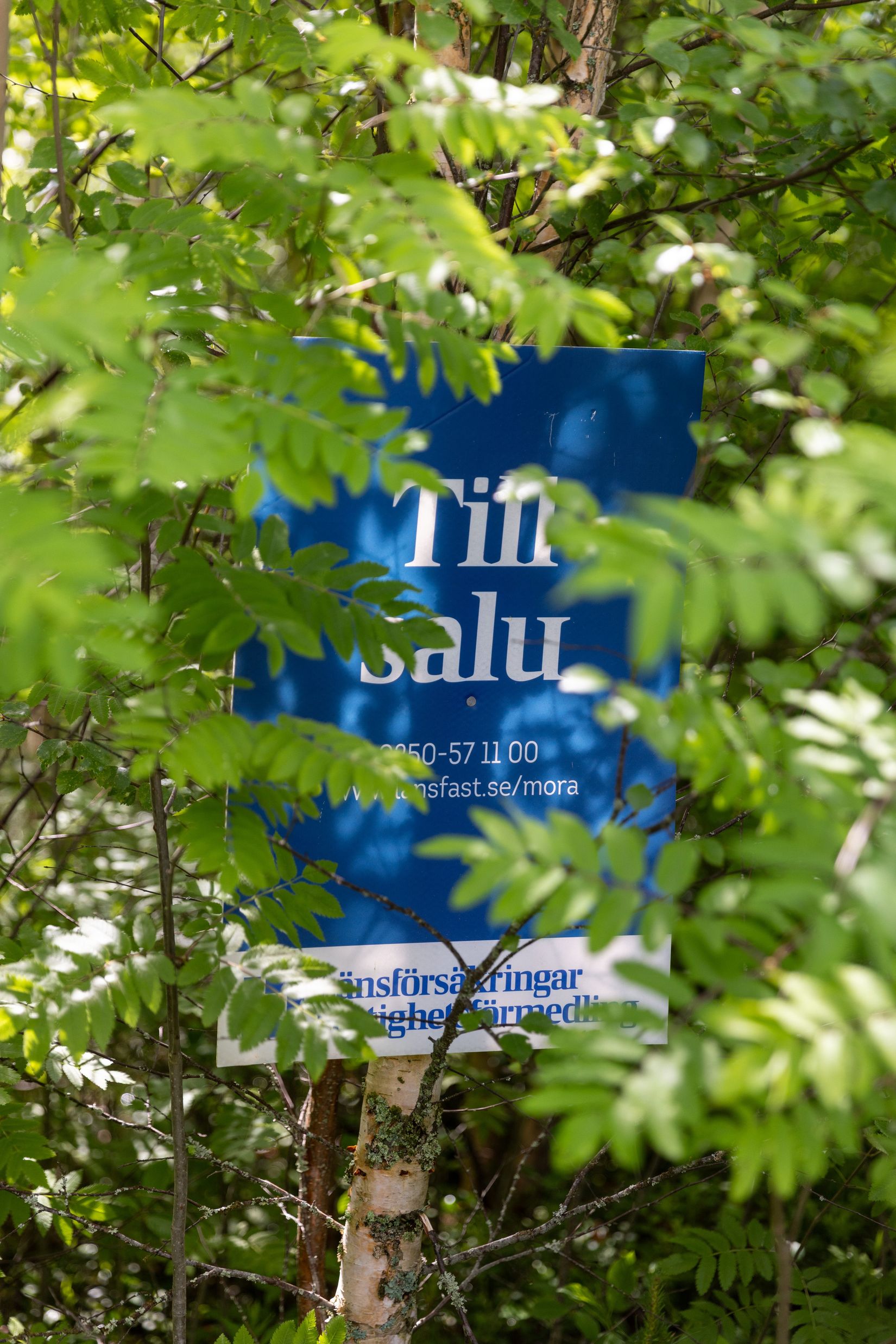 Tomt, Norvägen 26, Öna, Mora