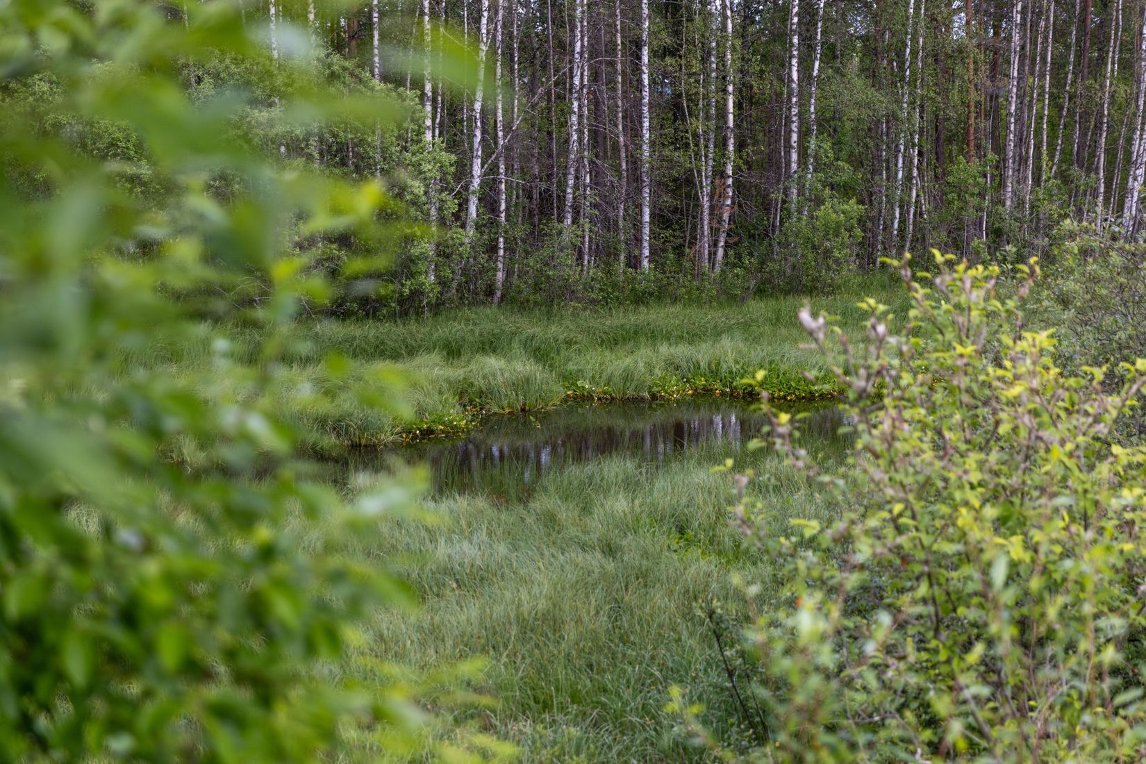 Tomt, Norvägen 26, Öna, Mora