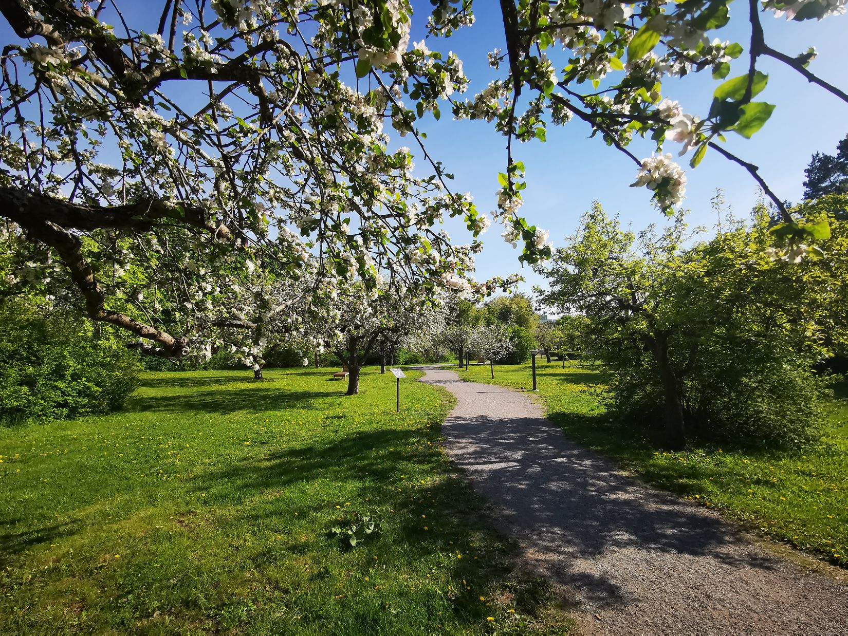 Bostadsrätt, Agatvägen 26, Beckomberga, Stockholm