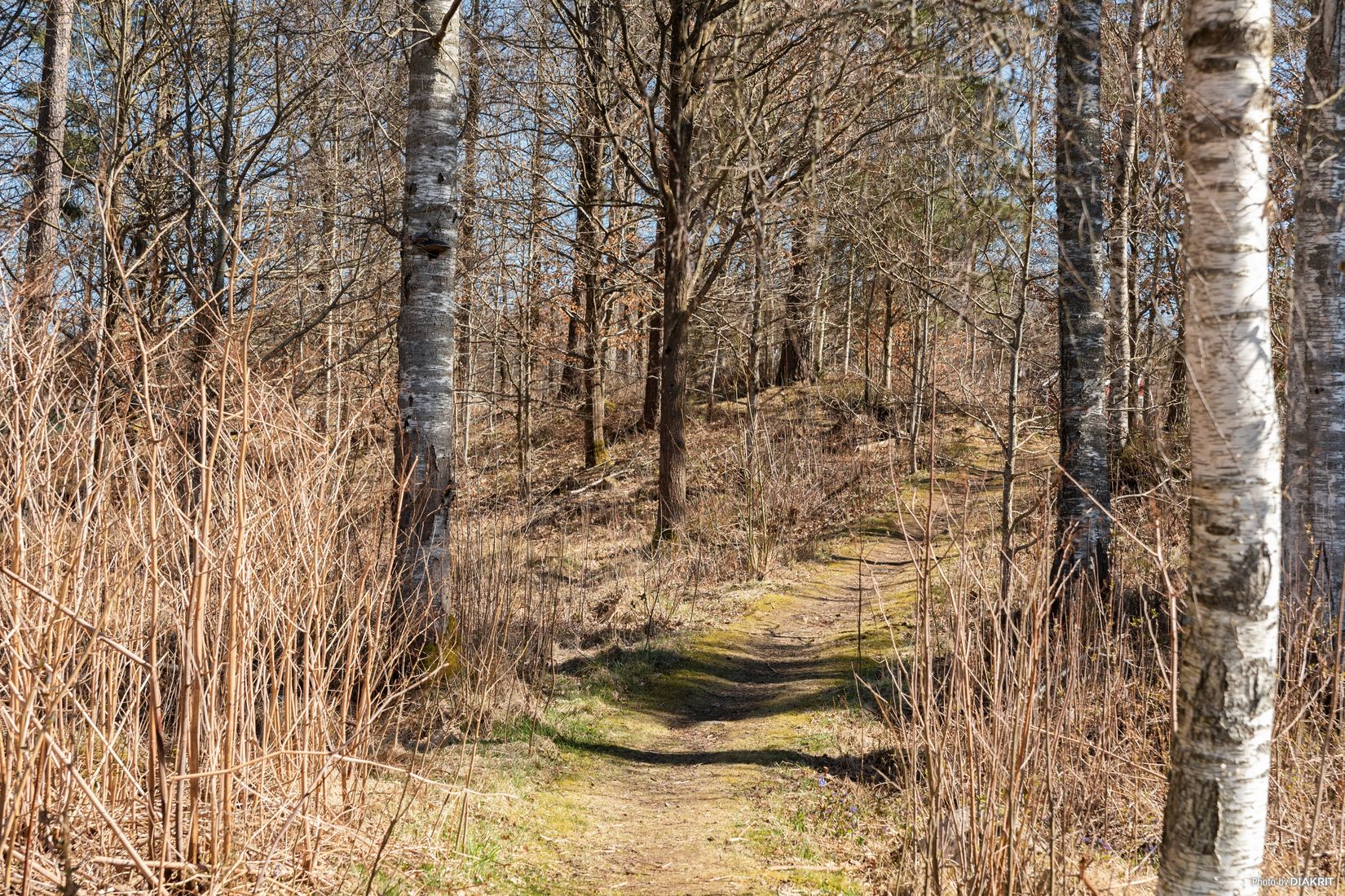 Villa, Kolaregatan 4, Hyltebruk, Hylte