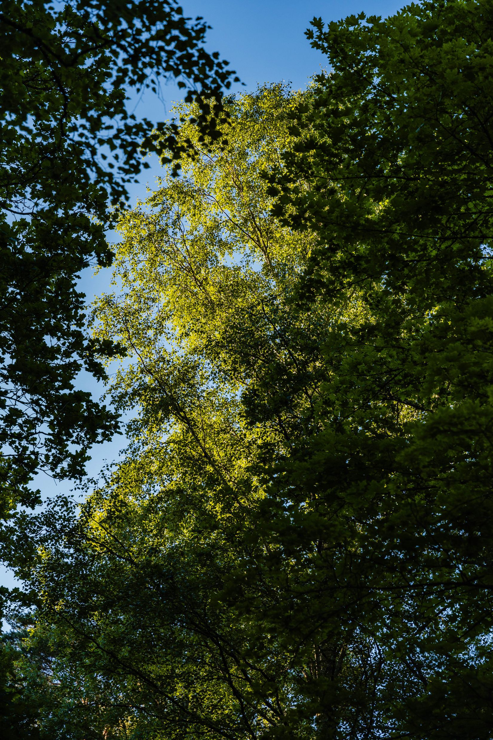 Villa, Edstorpsvägen 48, Edstorp, Nyköping