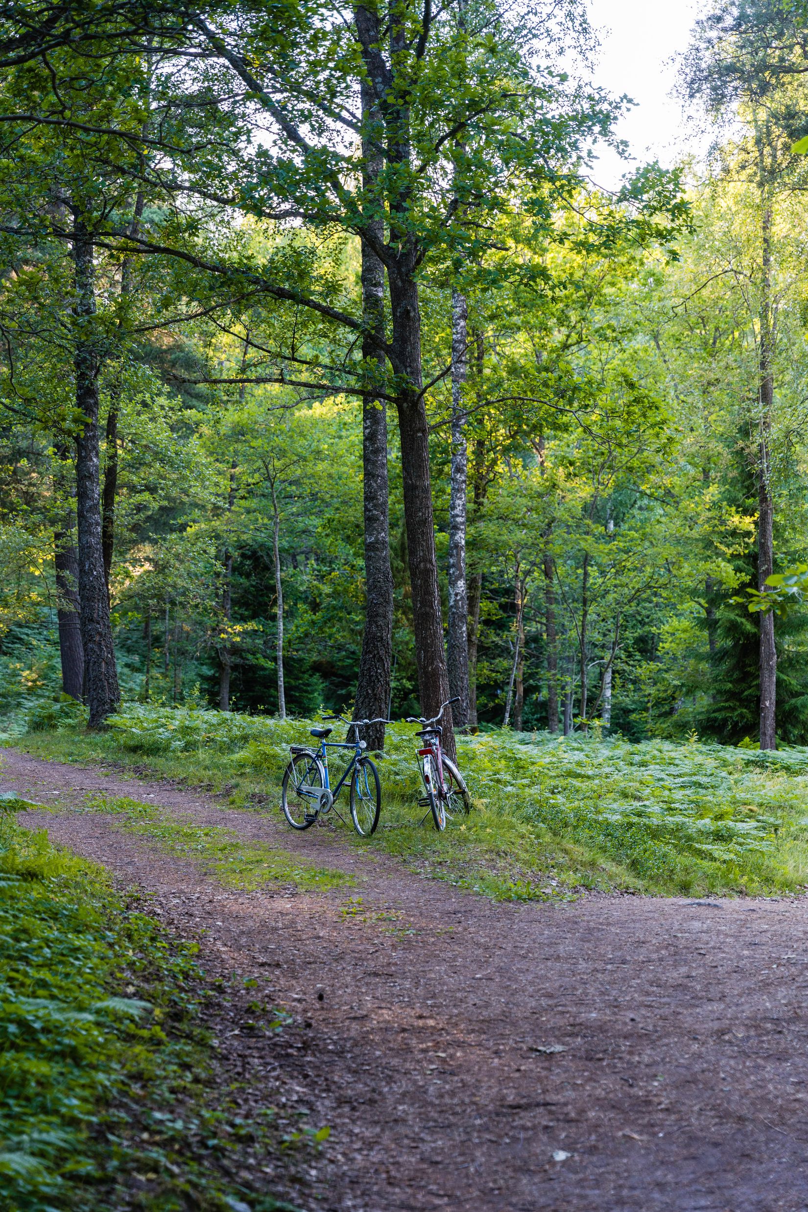 Villa, Edstorpsvägen 48, Edstorp, Nyköping