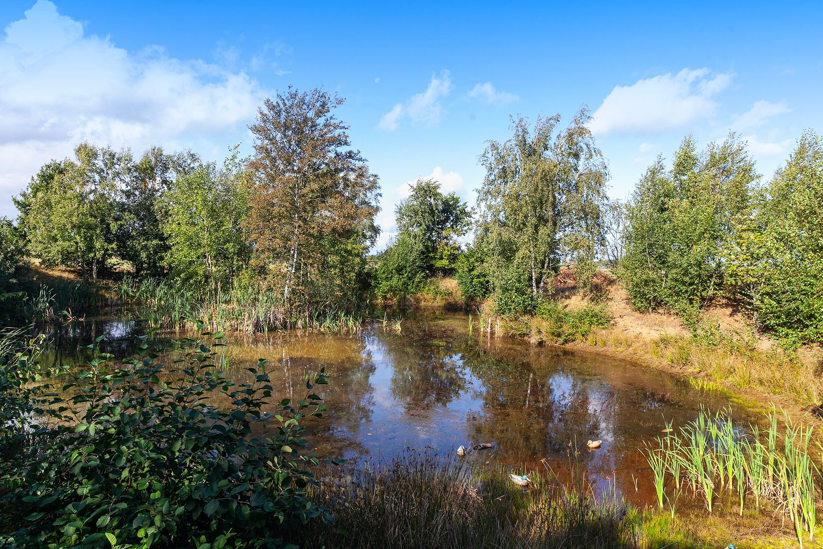 Gård/Skog, Döshultsvägen 536, Döshult-Viken, Helsingborg