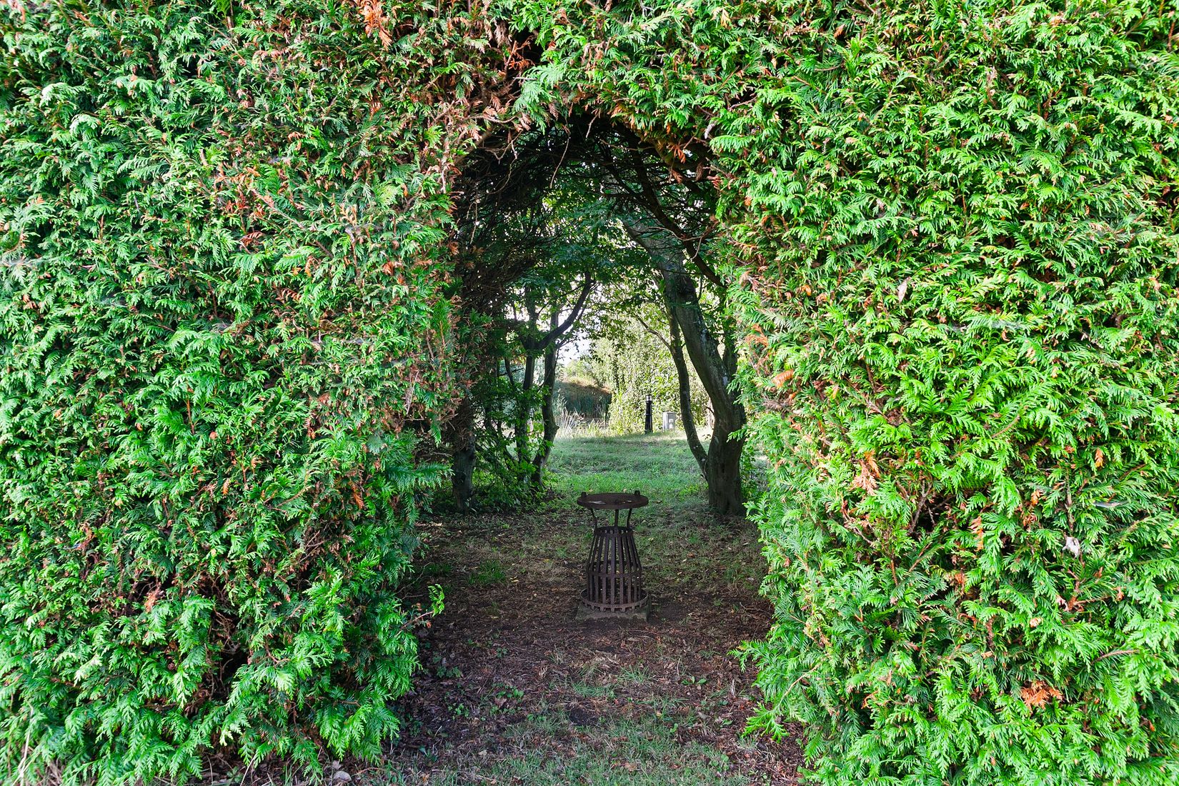 Gård/Skog, Döshultsvägen 536, Döshult-Viken, Helsingborg