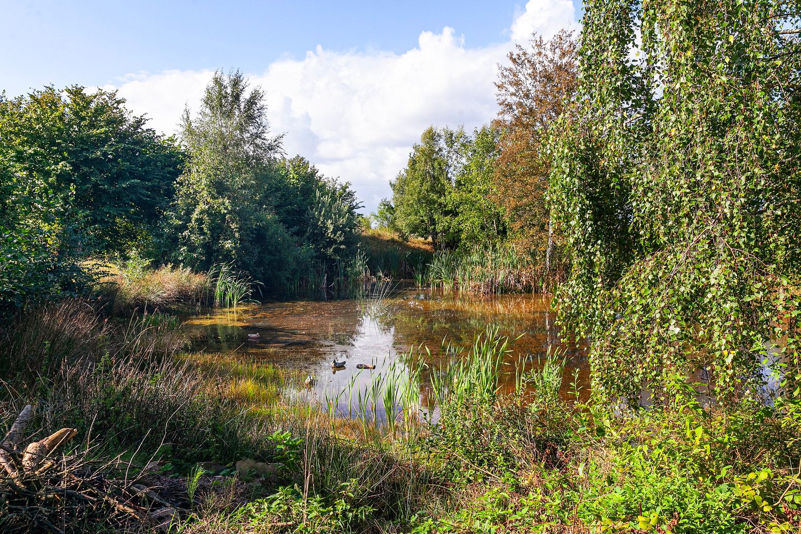 Gård/Skog, Döshultsvägen 536, Döshult-Viken, Helsingborg