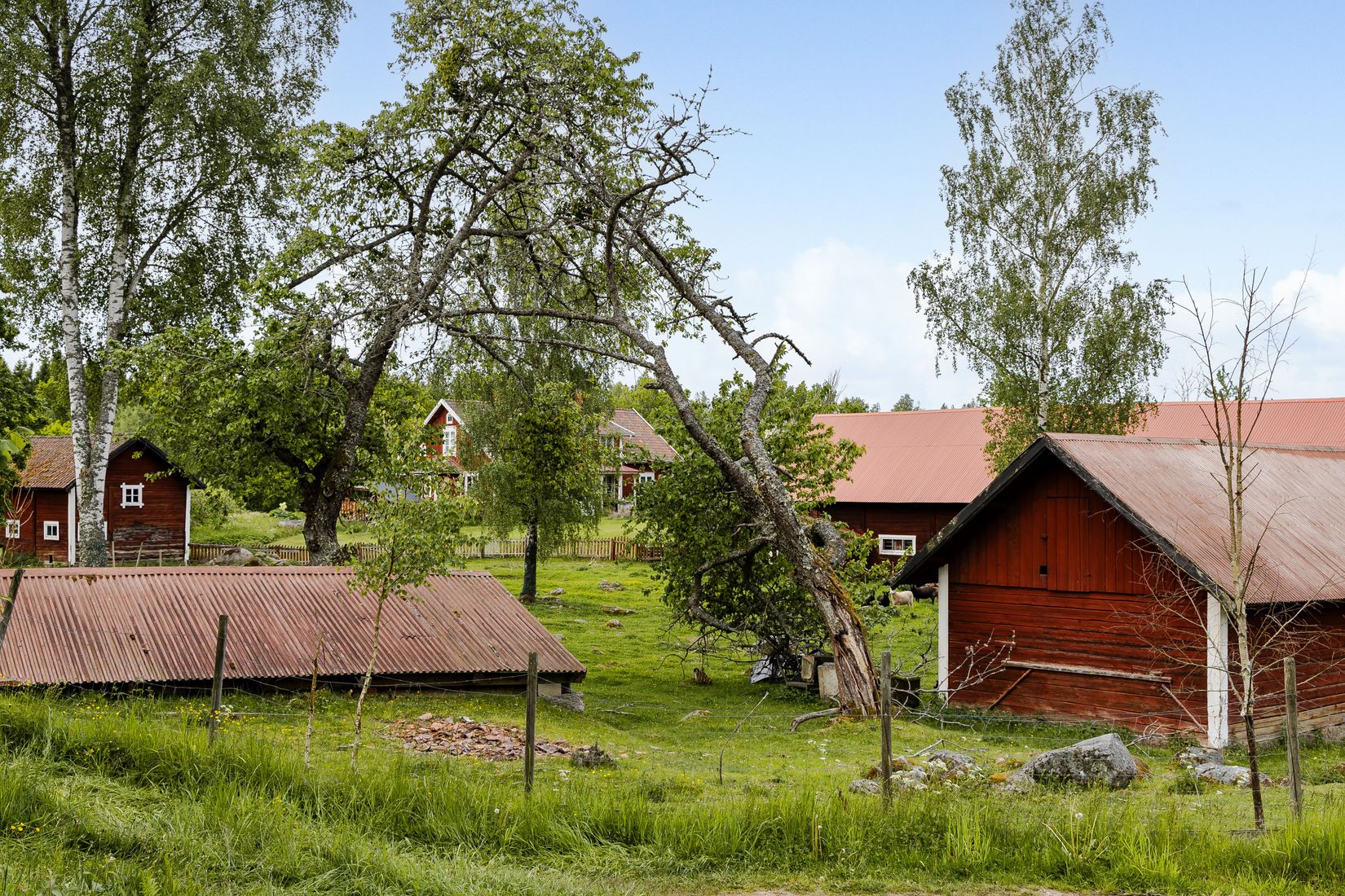 Gård/Skog, Tidersrum Kålstorp, Tidersrum, Kinda