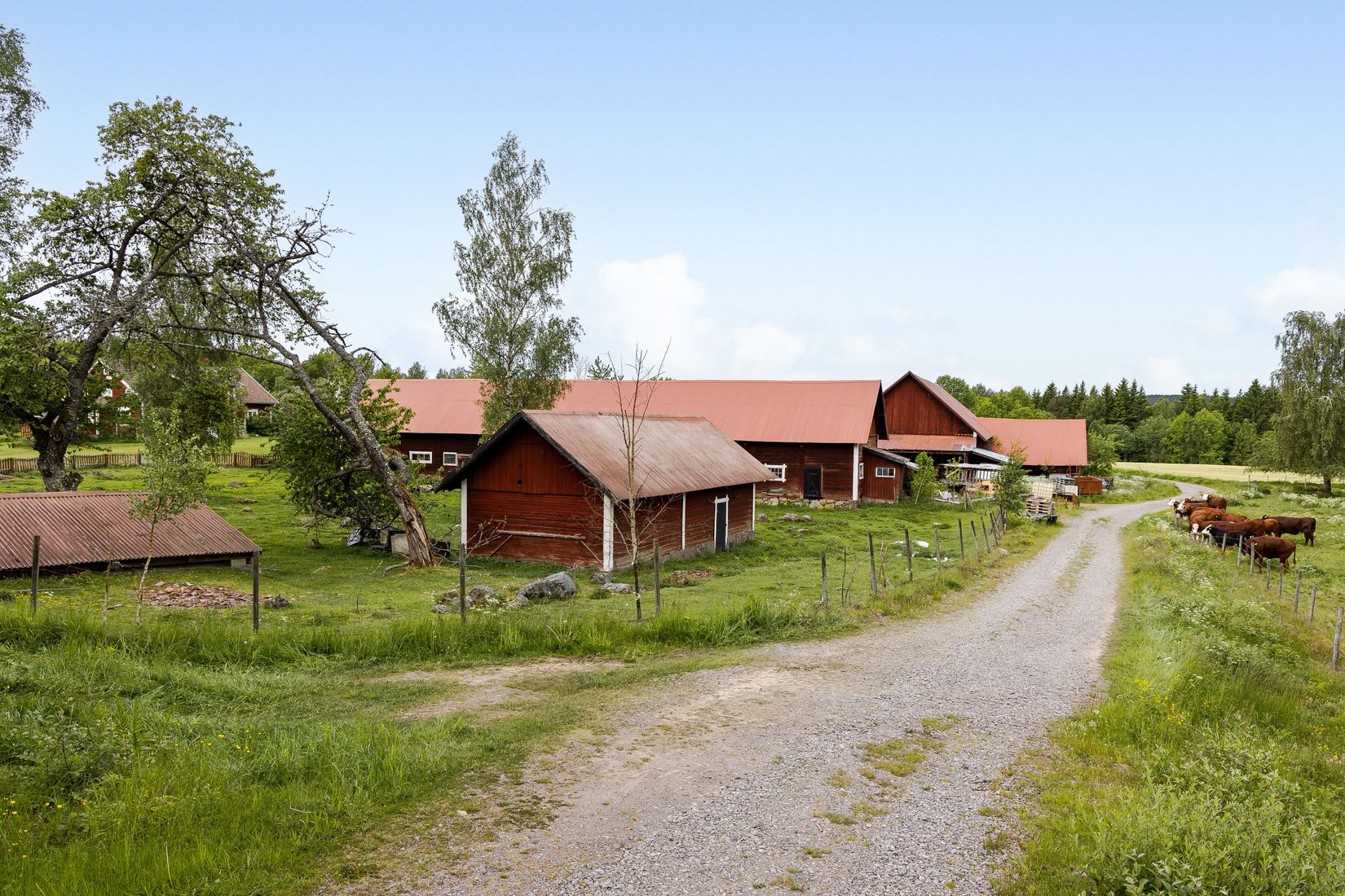 Gård/Skog, Tidersrum Kålstorp, Tidersrum, Kinda