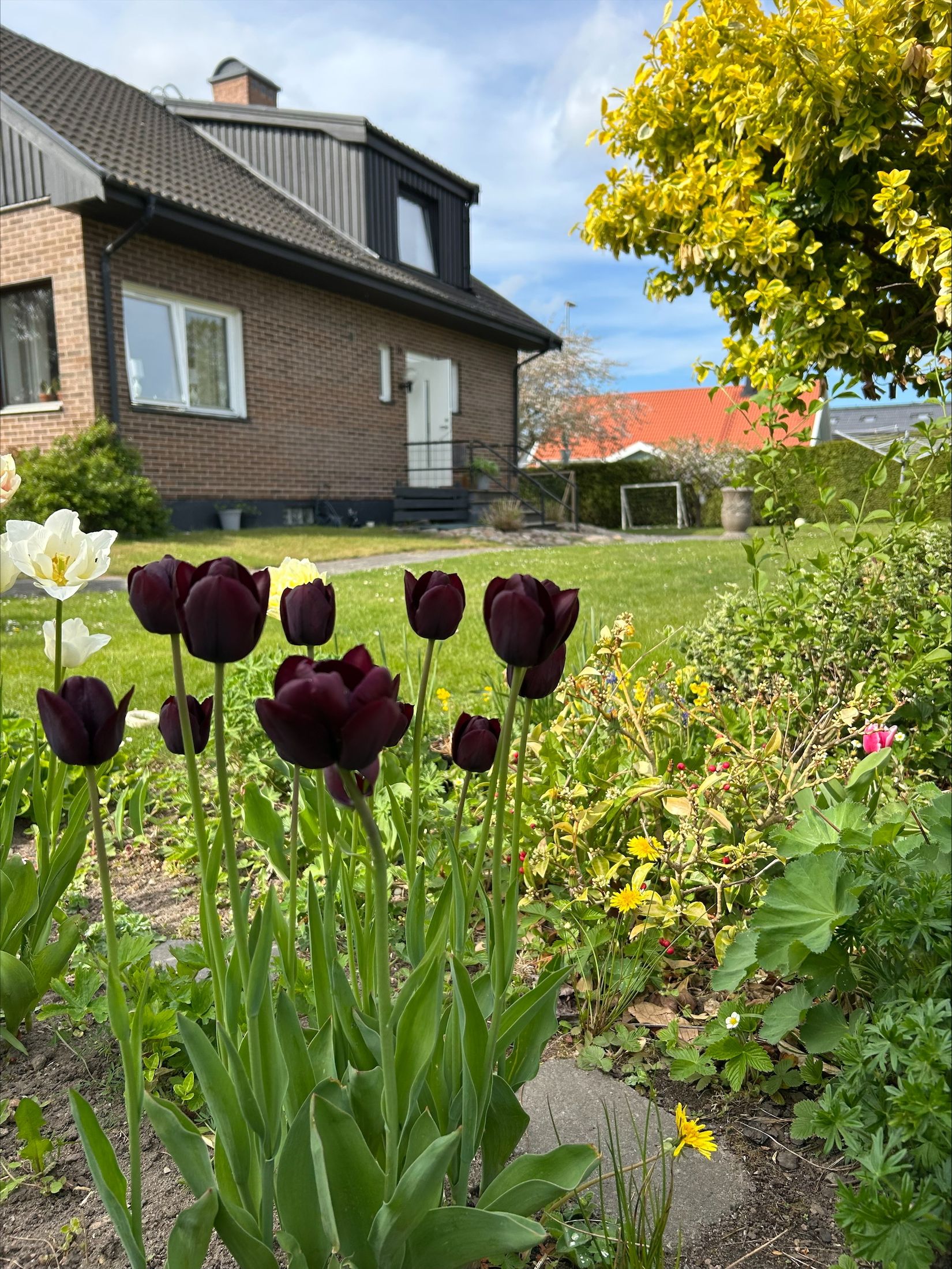 Villa, Revingevägen 18, Eslöv