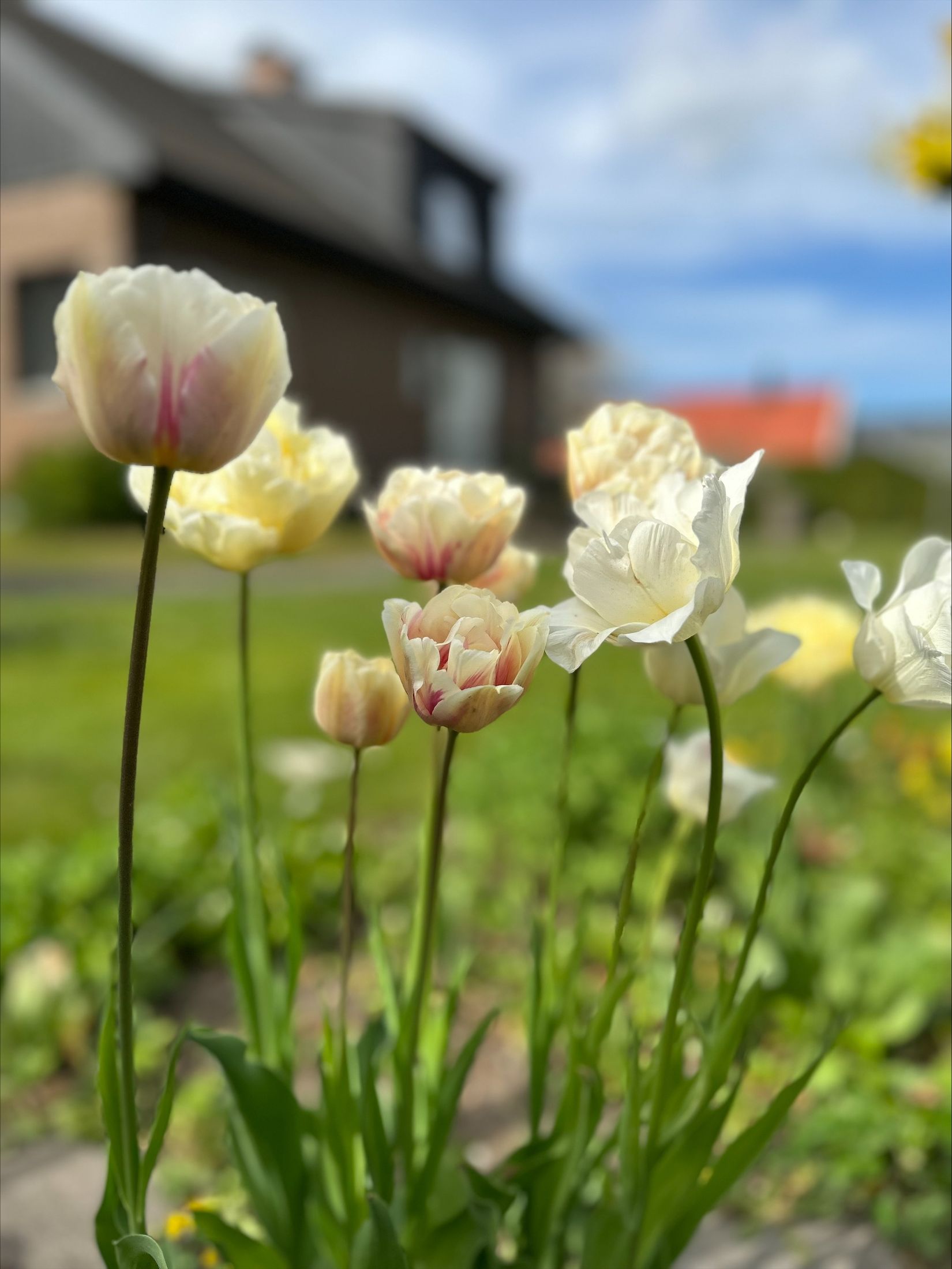 Villa, Revingevägen 18, Eslöv