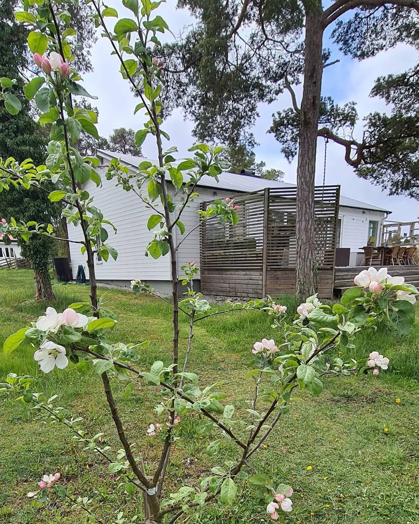 Villa, Fröjel Hallgårds 806A, Fröjel - Ekstakusten, Gotland