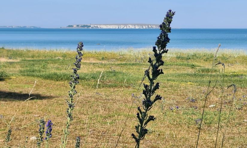 Villa, Fröjel Hallgårds 806A, Fröjel - Ekstakusten, Gotland