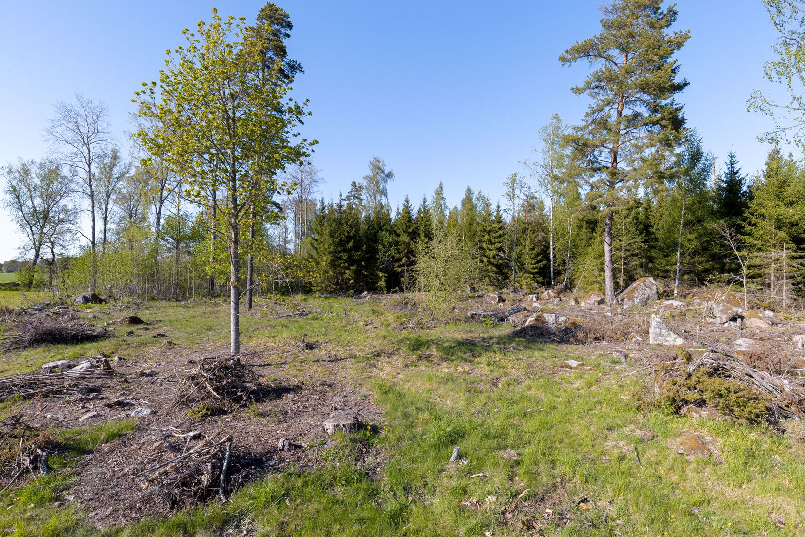 Tomt, Tensta-Tuna 1:15, Vattholma / Tensta, Uppsala