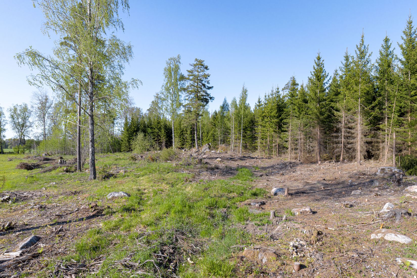 Tomt, Tensta-Tuna 1:15, Vattholma / Tensta, Uppsala