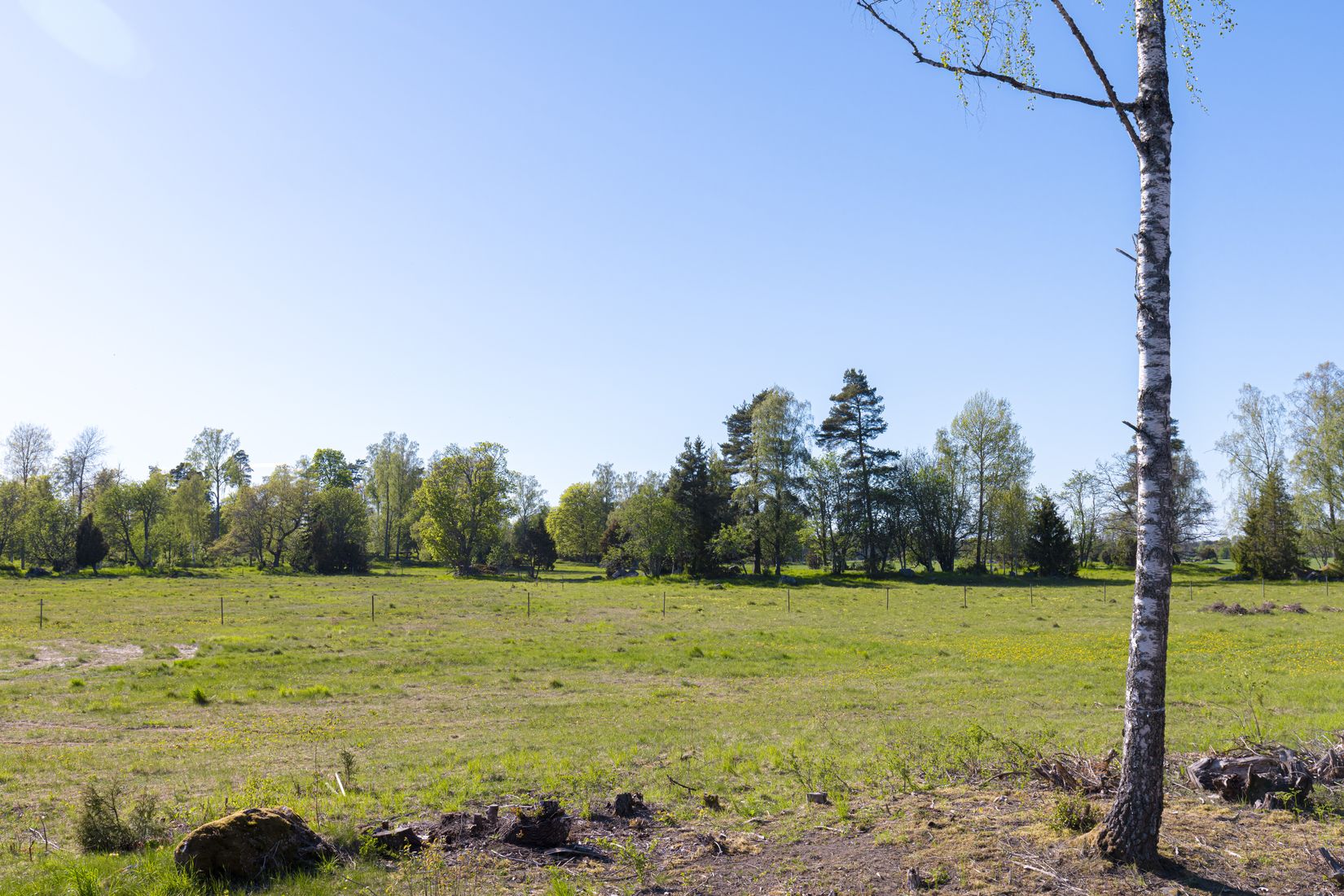 Tomt, Tensta-Tuna 1:15, Vattholma / Tensta, Uppsala