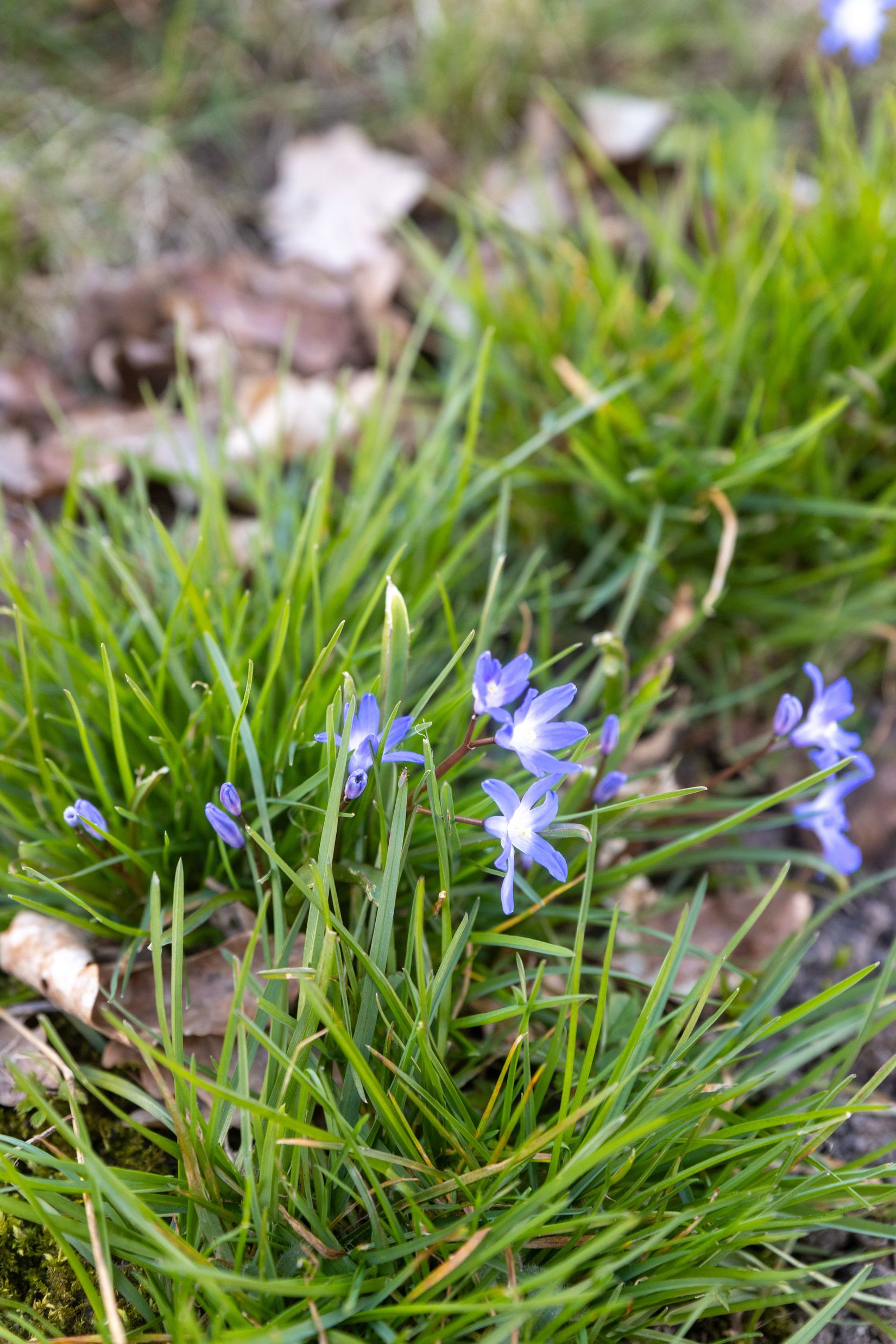 Villa, Terrassvägen 1, Ale
