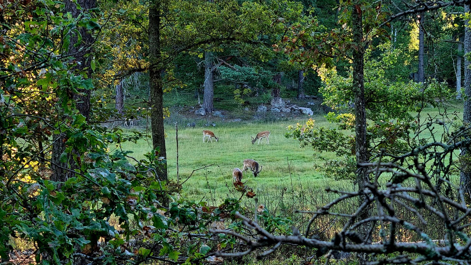 Villa, Radhus, Huddungegränd 31, Brunnby Vik, Upplands Väsby