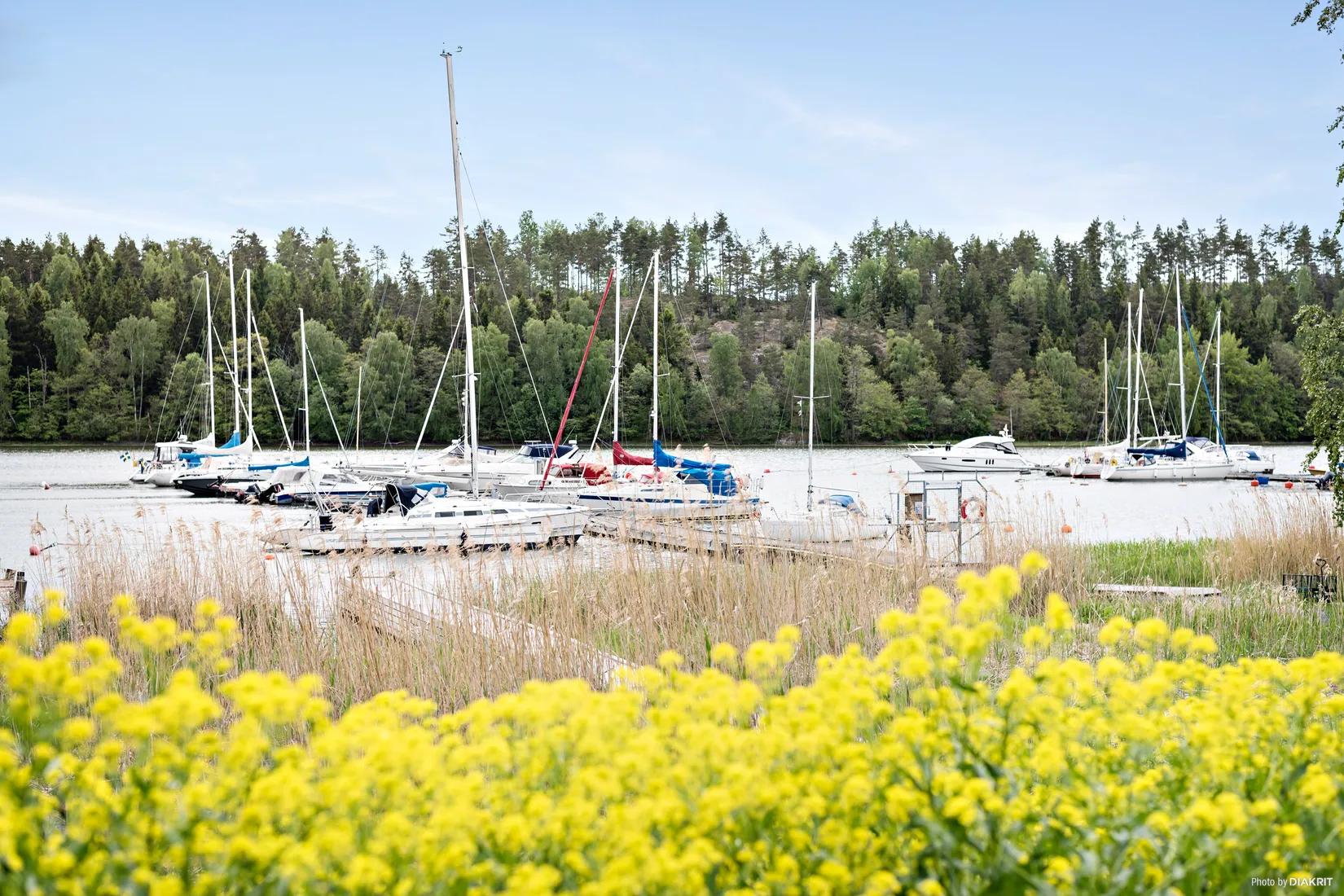 Tomt, Skördevägen 16A, Kvisthamra - Centralt, Norrtälje