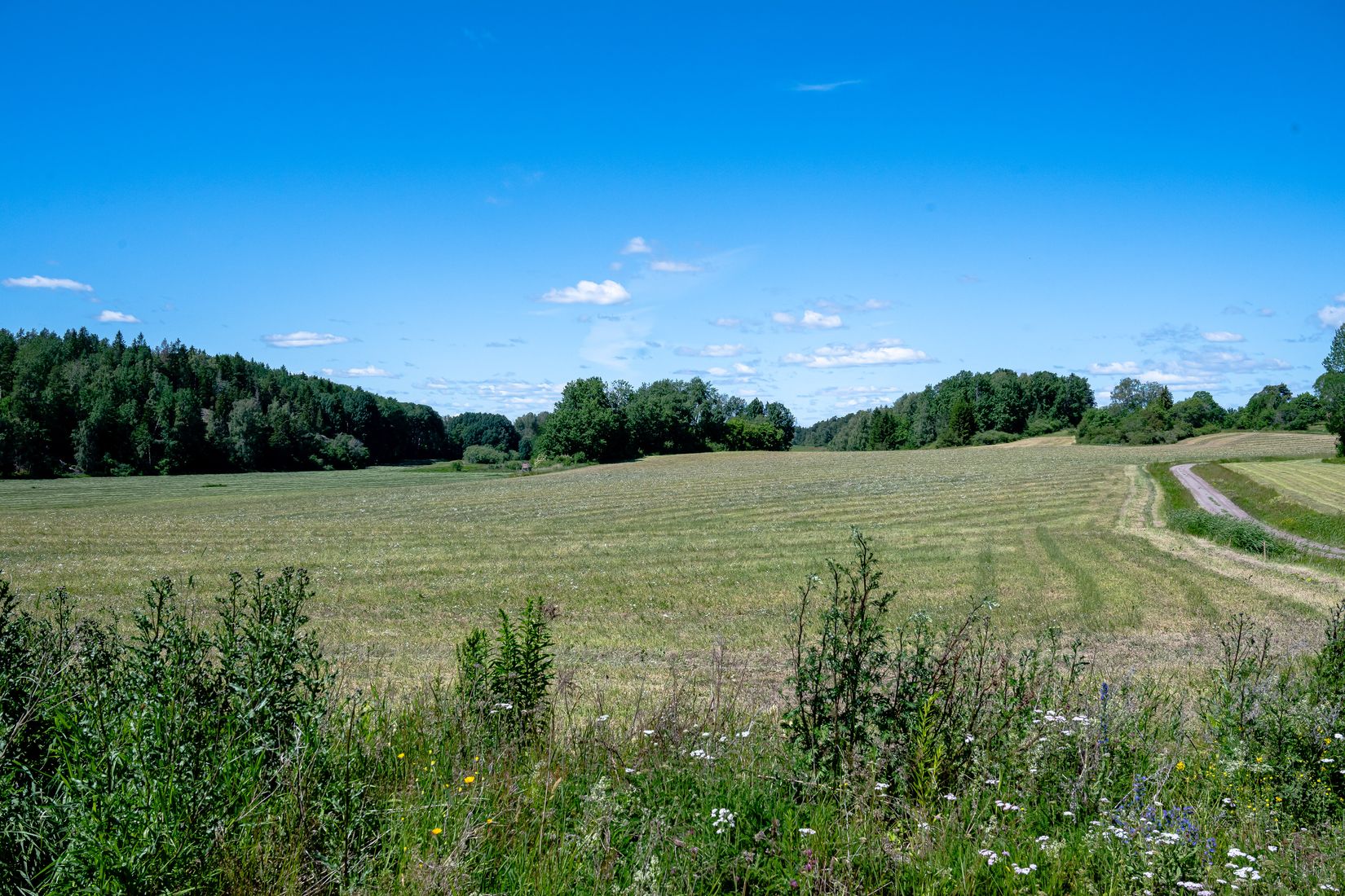 Tomt, Södra Stene 11, Södertälje