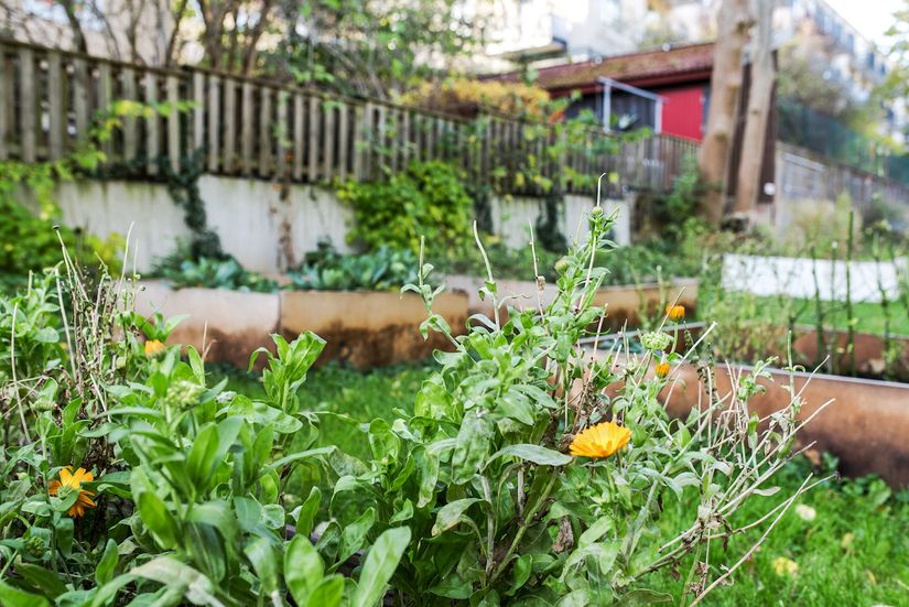 Bostadsrätt, Ekedalsgatan 5B, Majorna, Göteborg