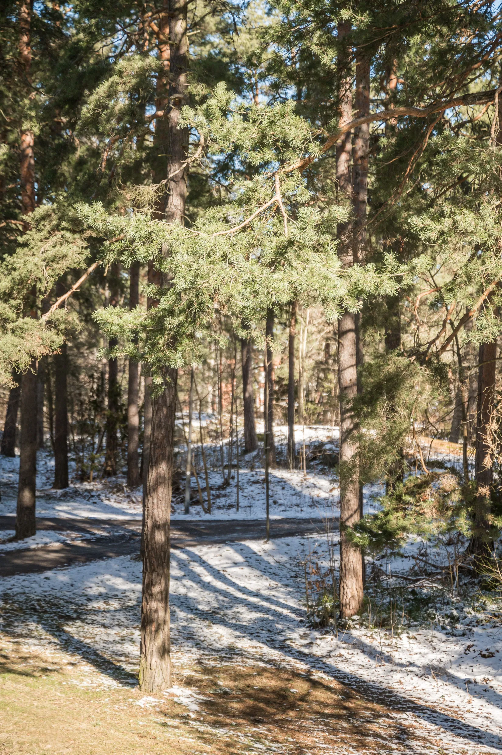 Bostadsrätt, Gruvgången 93, Gruvlyckan, Karlstad