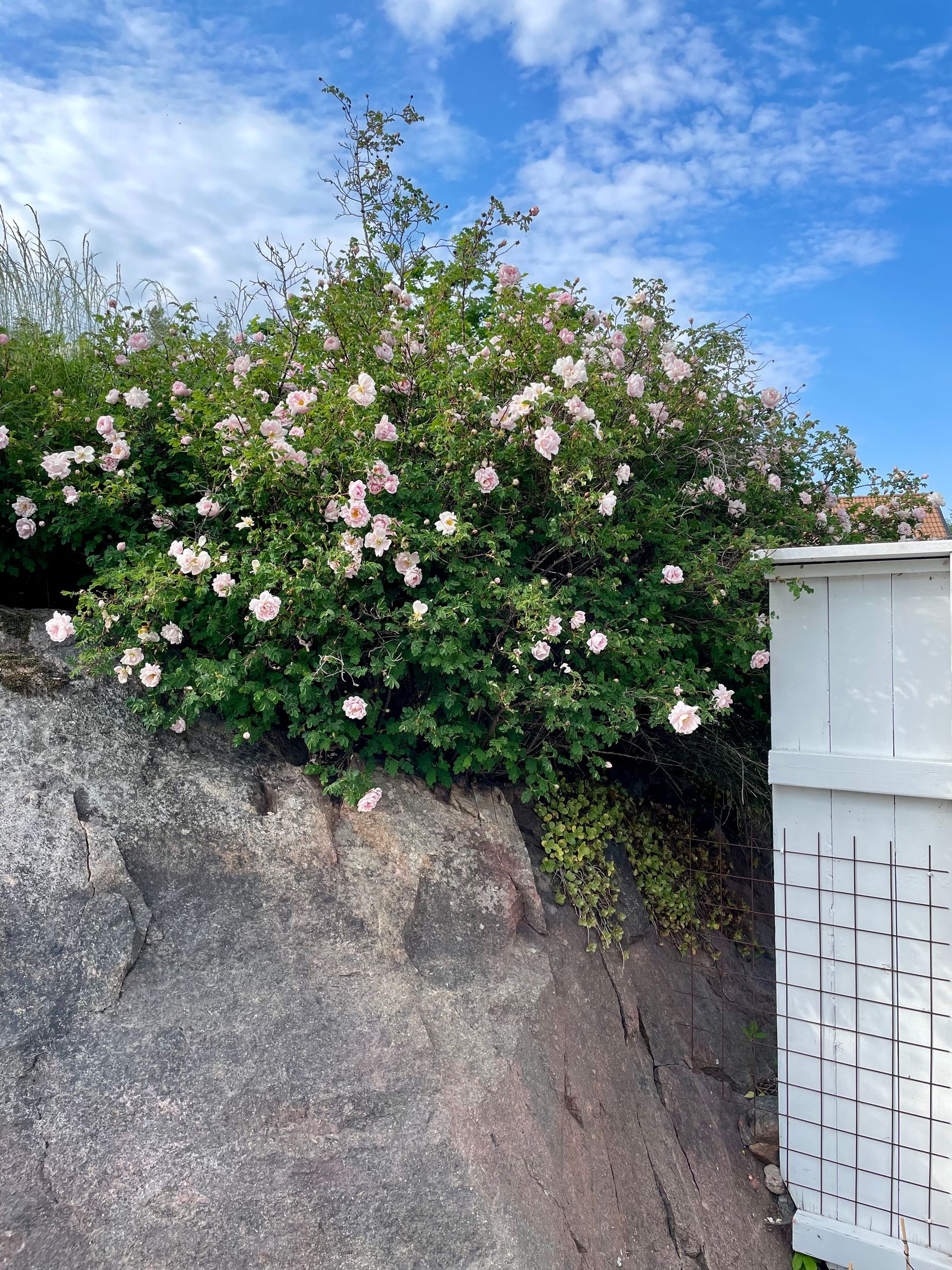 Bostadsrätt, Lyckebovägen 31, Kristineberg, Oskarshamn