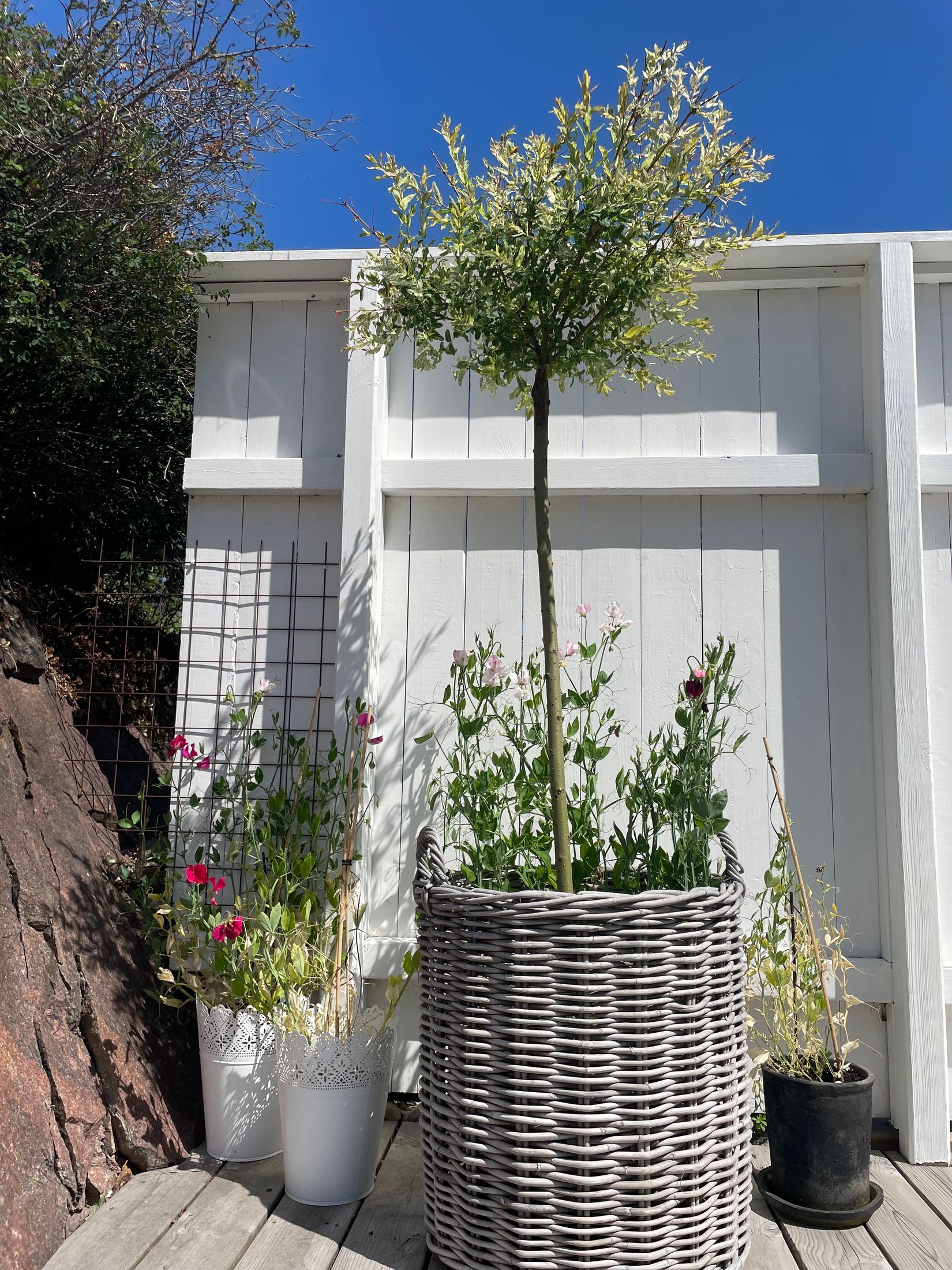 Bostadsrätt, Lyckebovägen 31, Kristineberg, Oskarshamn