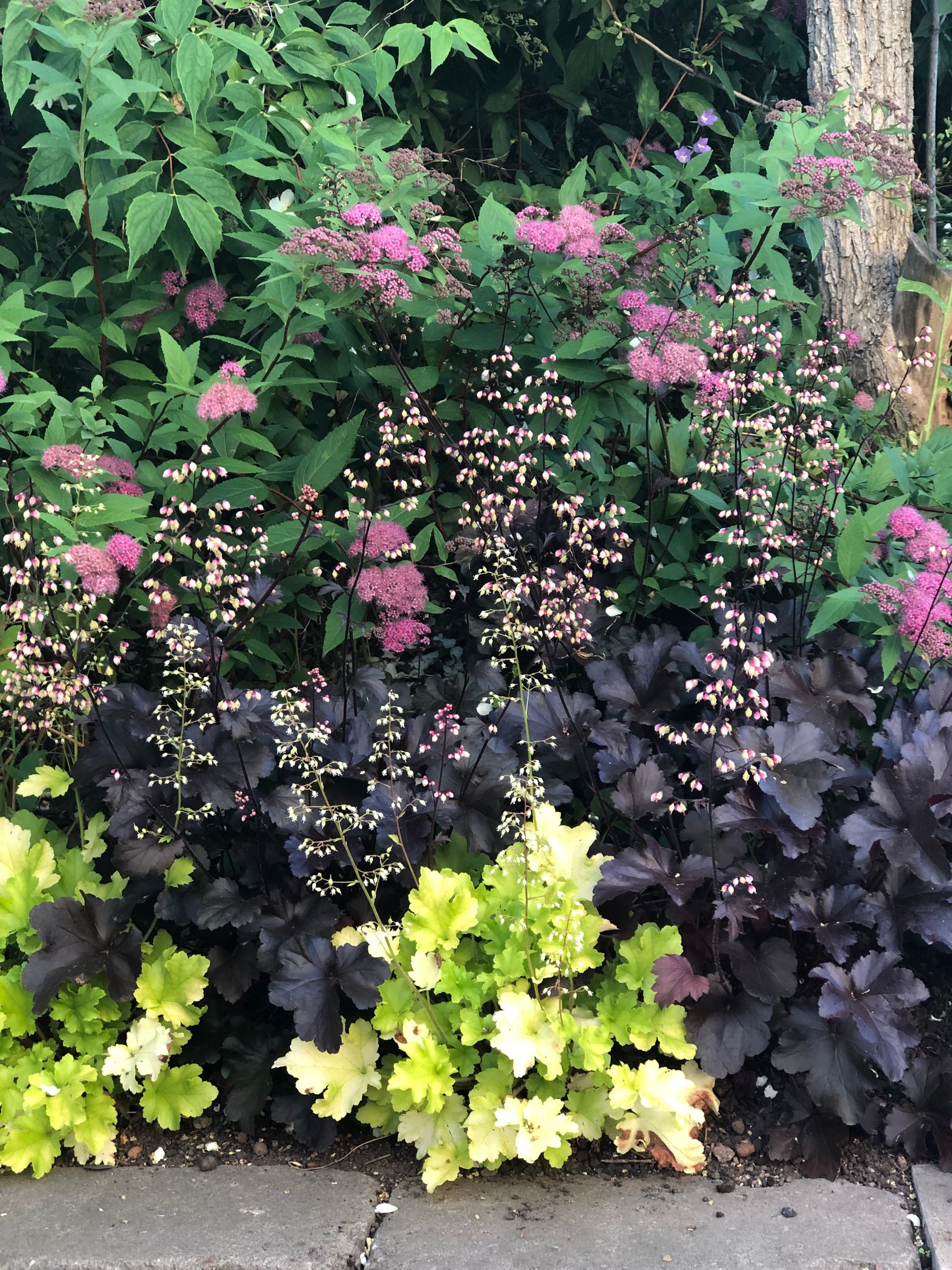 Bostadsrätt, Lyckebovägen 31, Kristineberg, Oskarshamn