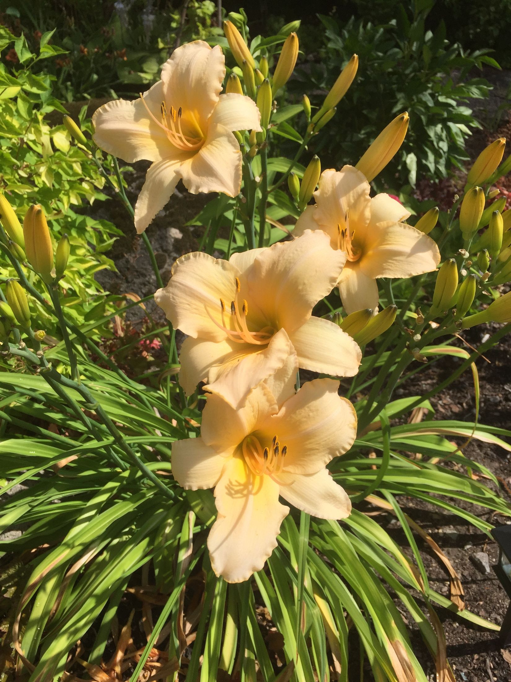 Villa, Hjortstigen 10, Kristianstad