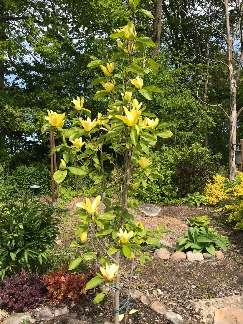 Villa, Hjortstigen 10, Kristianstad