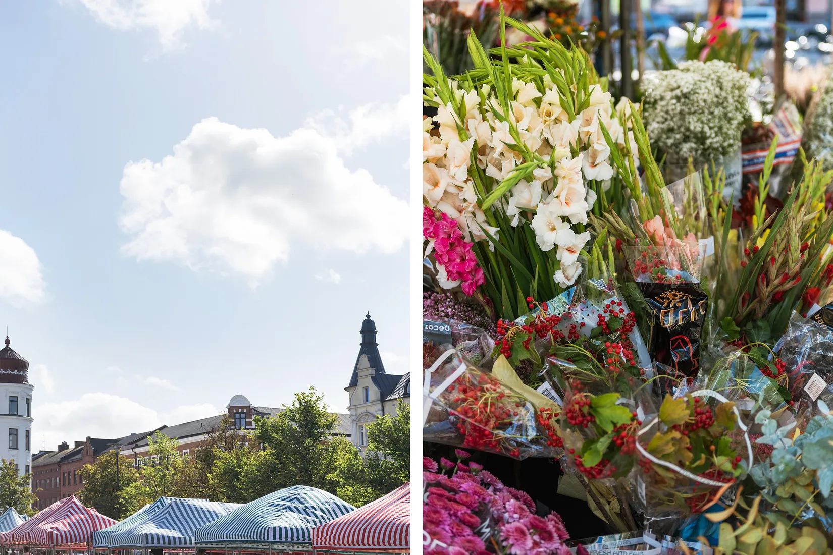 Bostadsrätt, Vitemöllegatan 4H, Nobeltorget, Malmö