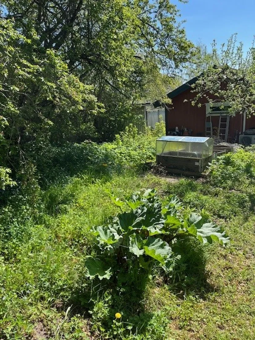 Villa, Björklidsvägen 4, Slottsbrinken, Strängnäs