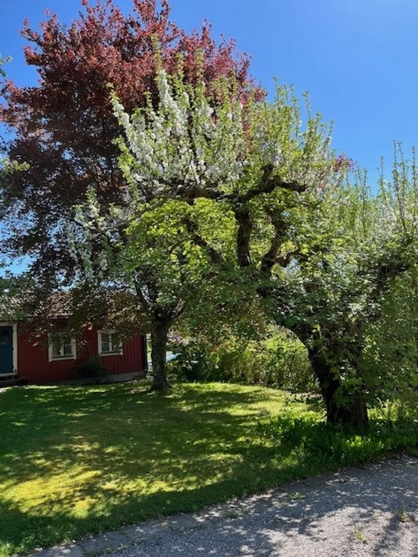 Villa, Björklidsvägen 4, Slottsbrinken, Strängnäs