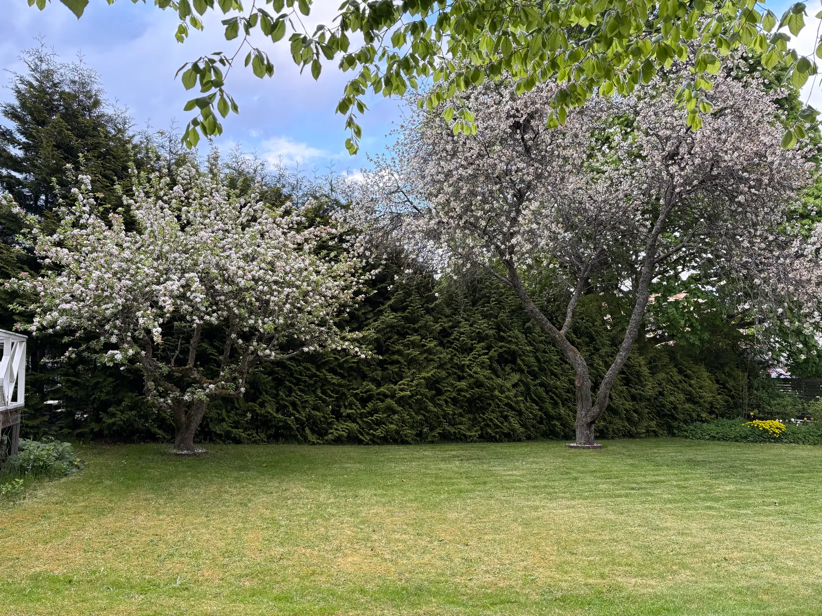 Villa, Pilgatan 6A, Väster, Växjö