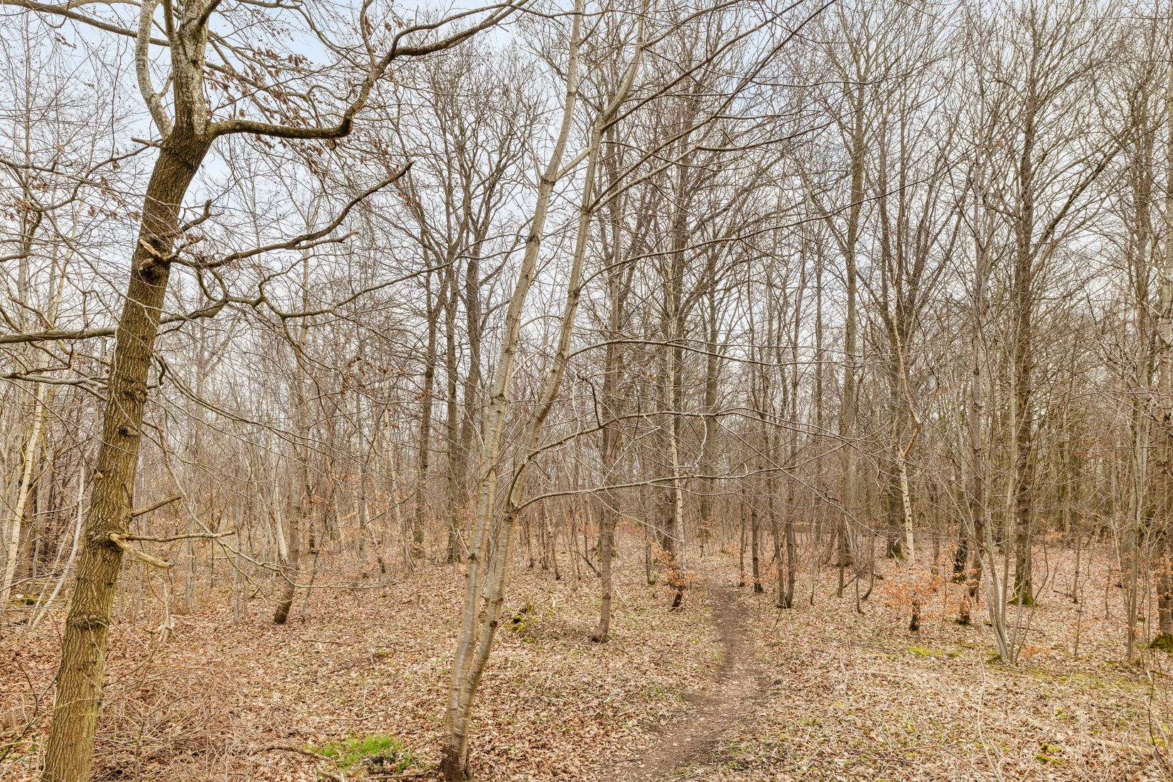 Villa, Läxgatan 3, Sjöbo