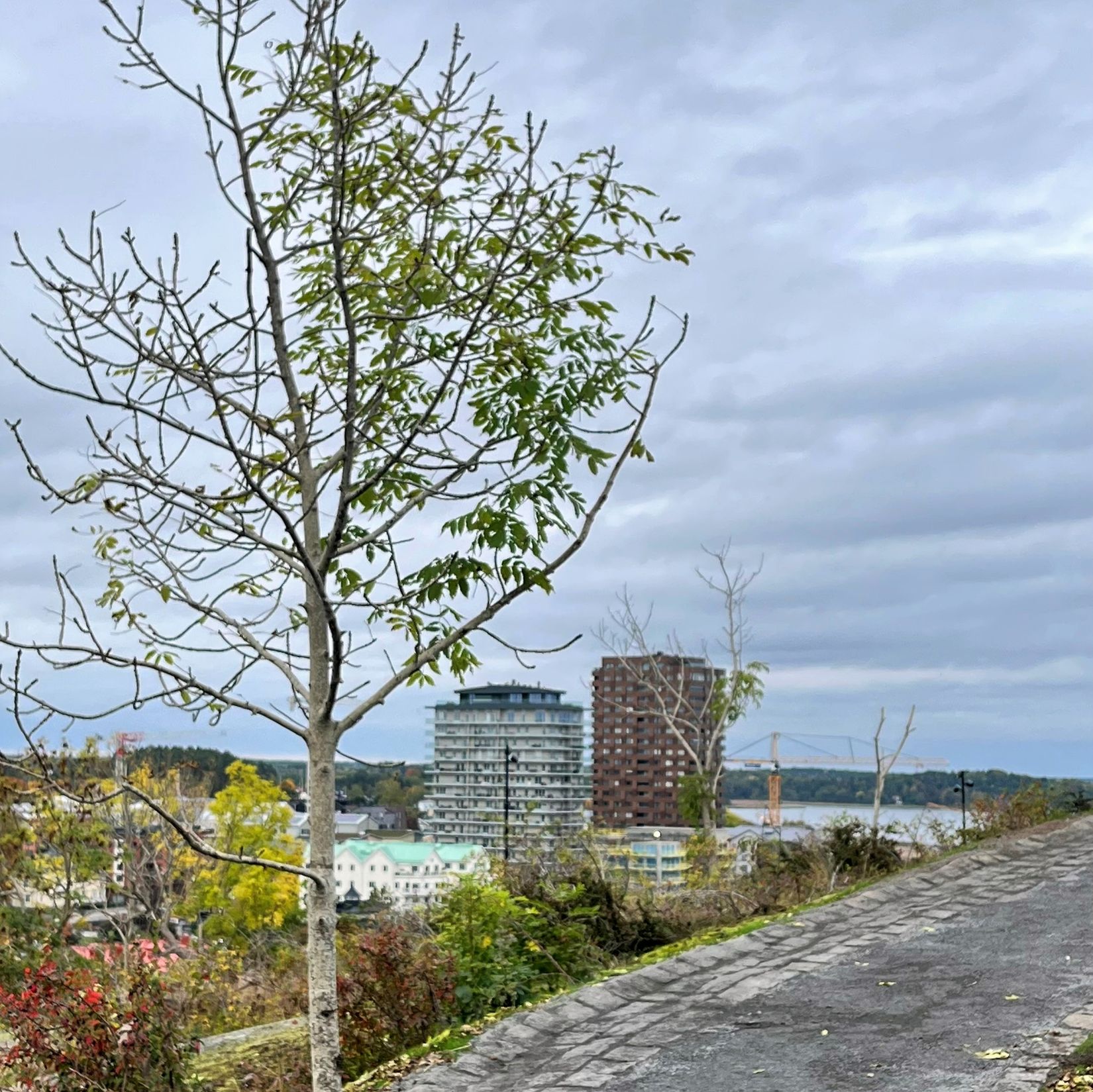 Bostadsrätt, Esplanaden 4, Centrala Norrtälje, Norrtälje