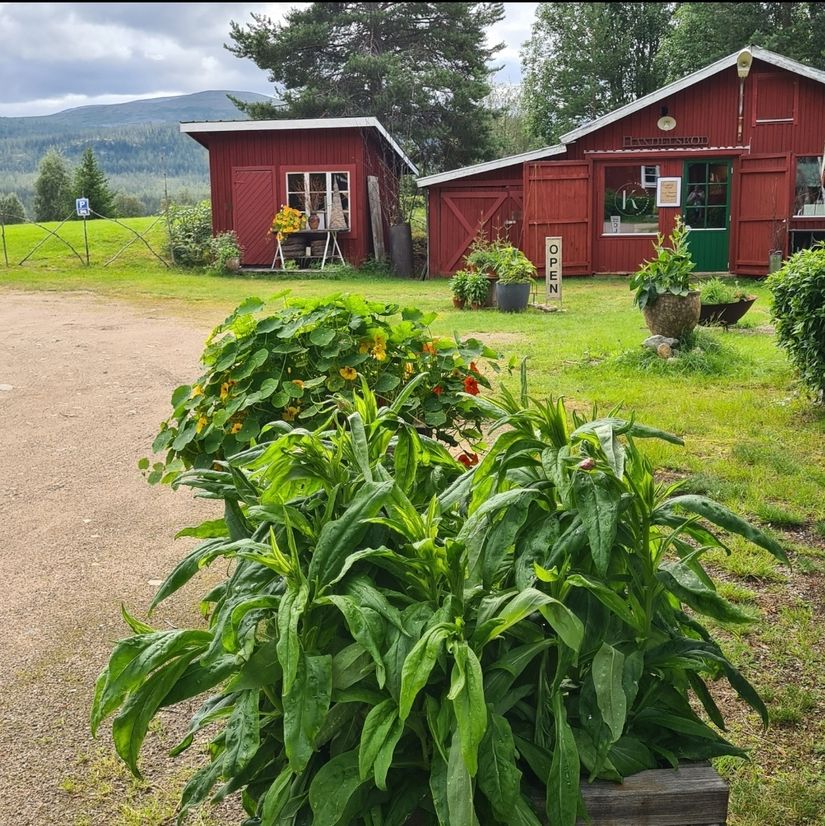 Villa, Hovärksvägen 18, Härjedalen