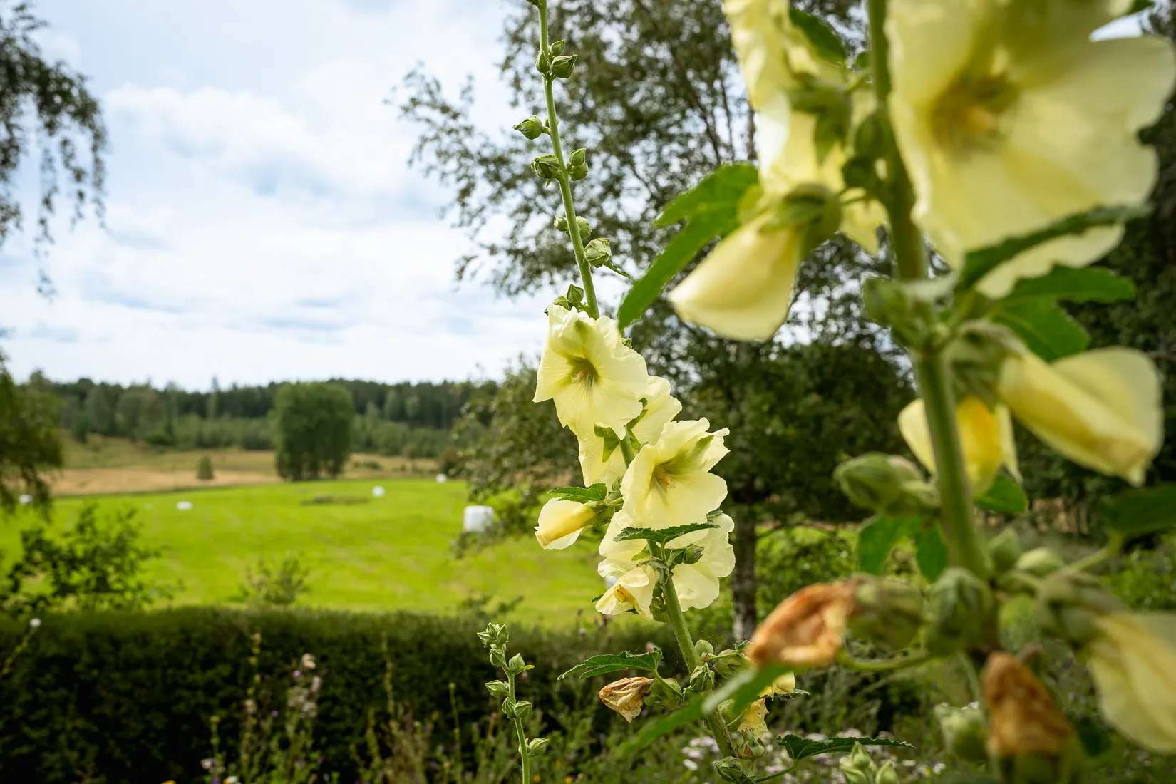 Villa, Knektbacken Lindhagen, Knektbacken, Katrineholm