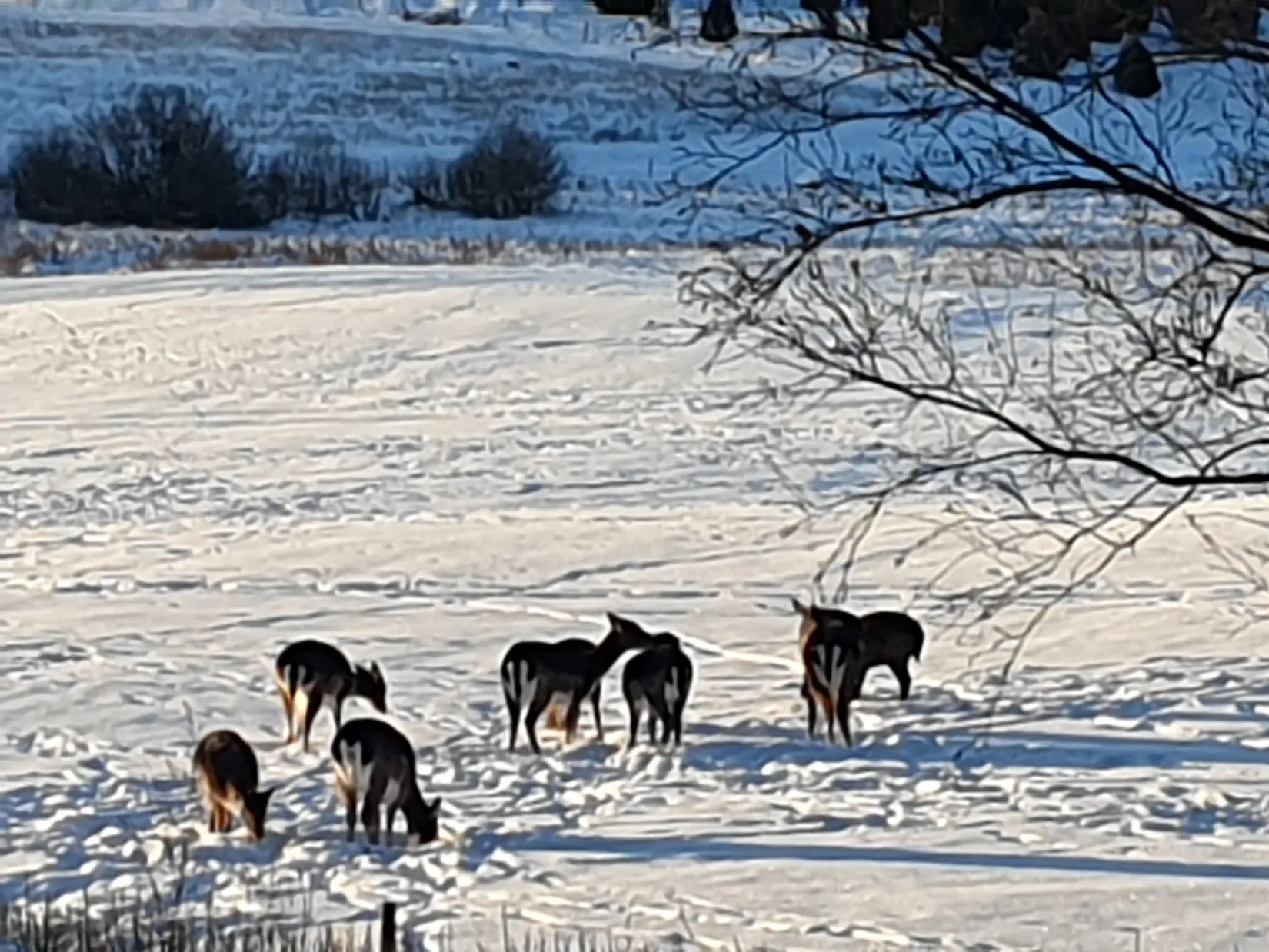 Villa, Knektbacken Lindhagen, Knektbacken, Katrineholm