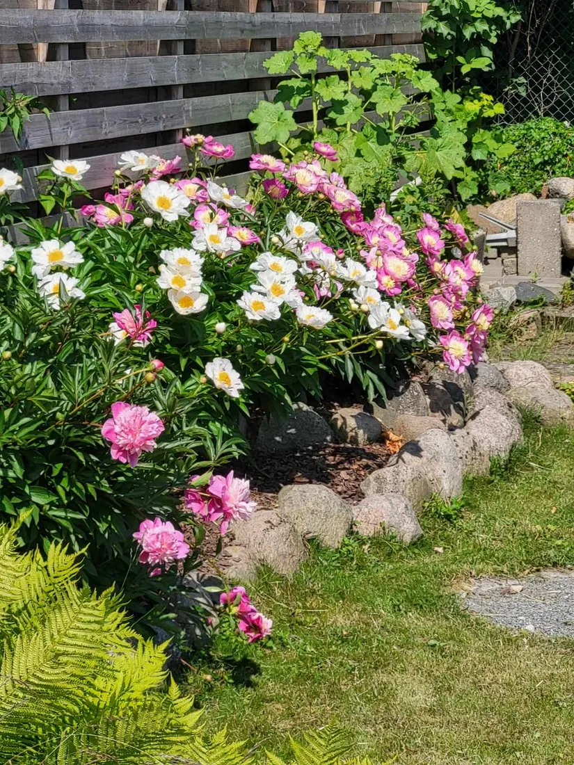 Fritidshus, Rosengången 24, Östra Sommarstaden , Ystad