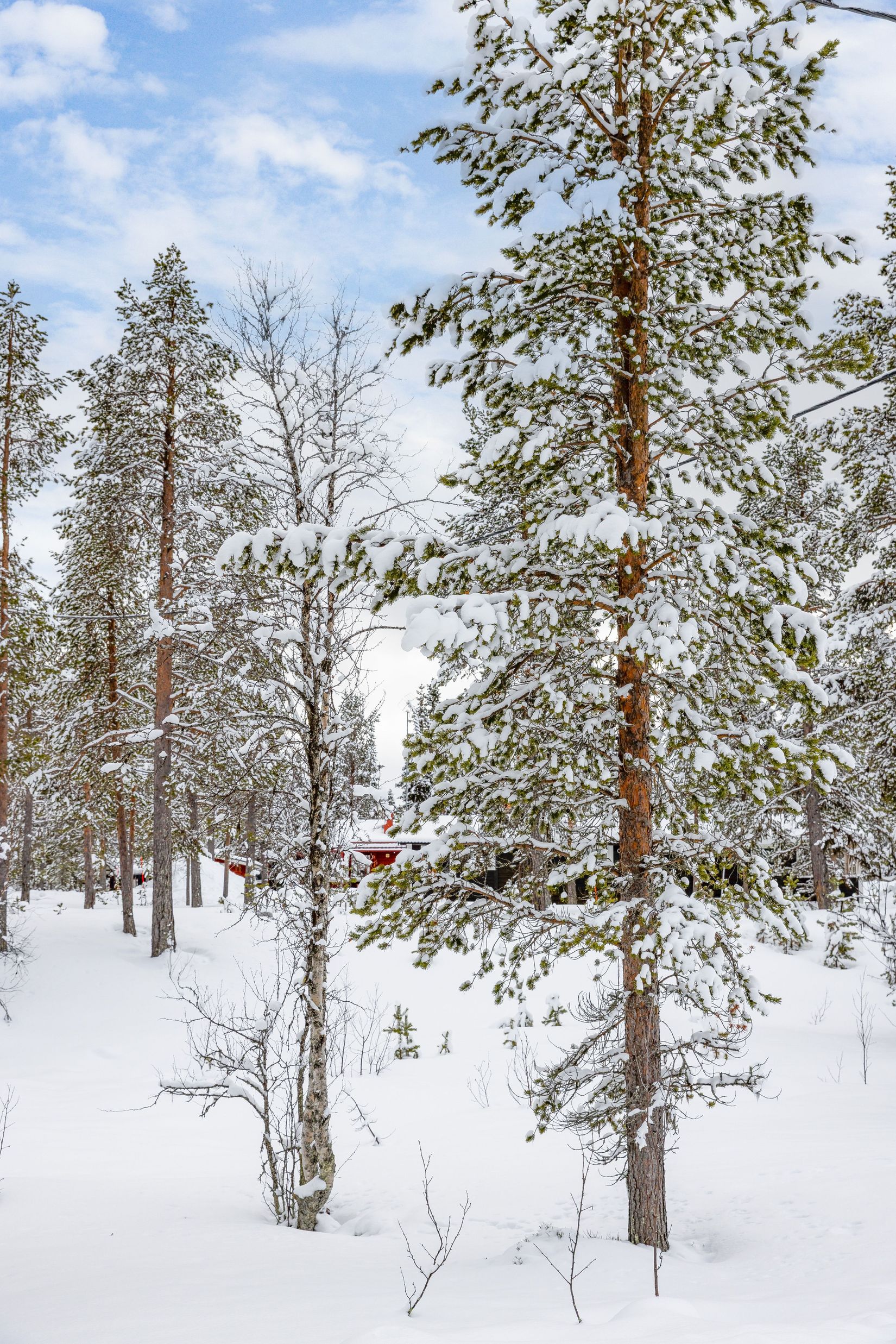 Tomt, Synderkölen 732, Härjedalen