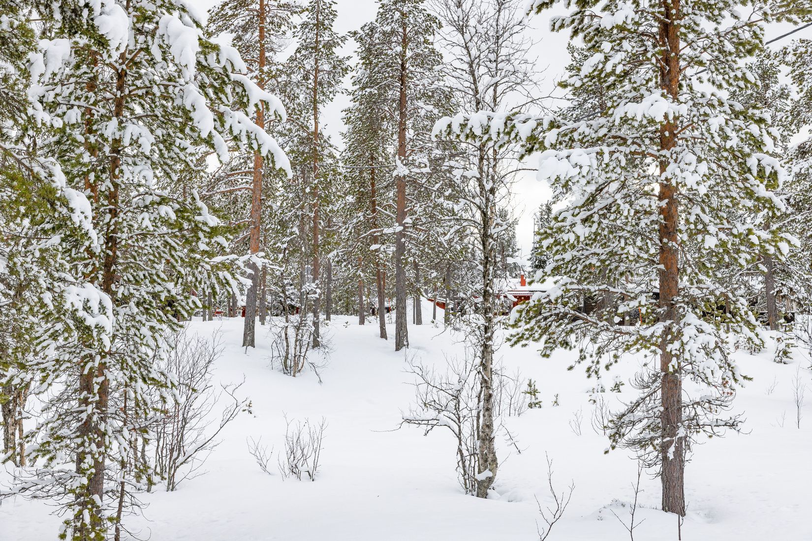 Tomt, Synderkölen 732, Härjedalen