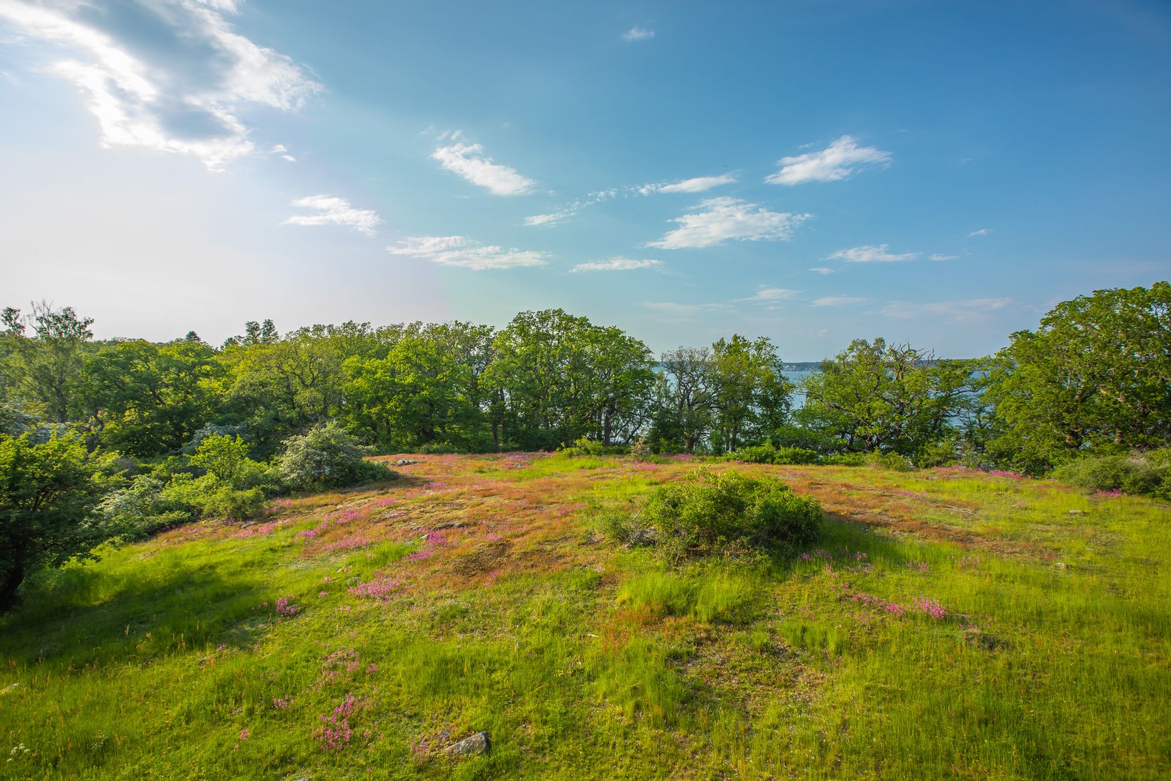 Tomt, Rävstigen 13, Djurön, Norrköping