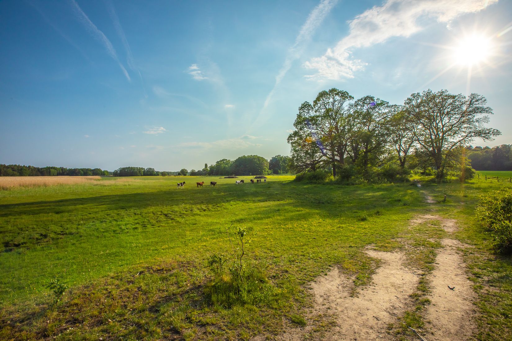 Tomt, Rävstigen 13, Djurön, Norrköping